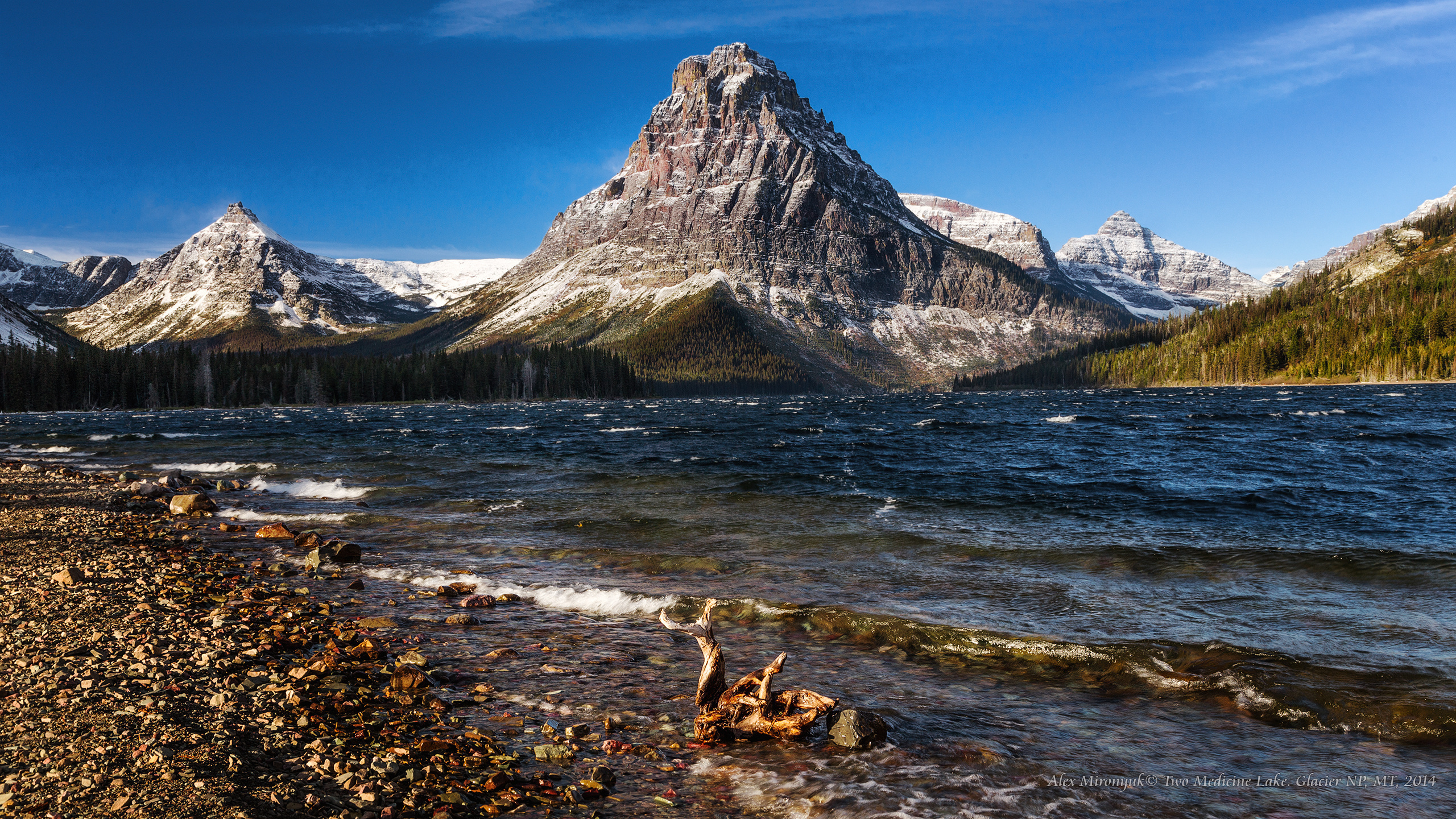 Glacier National Park. Pet, Senior, Landscape, portrait studio, photographer in Miami and Sou