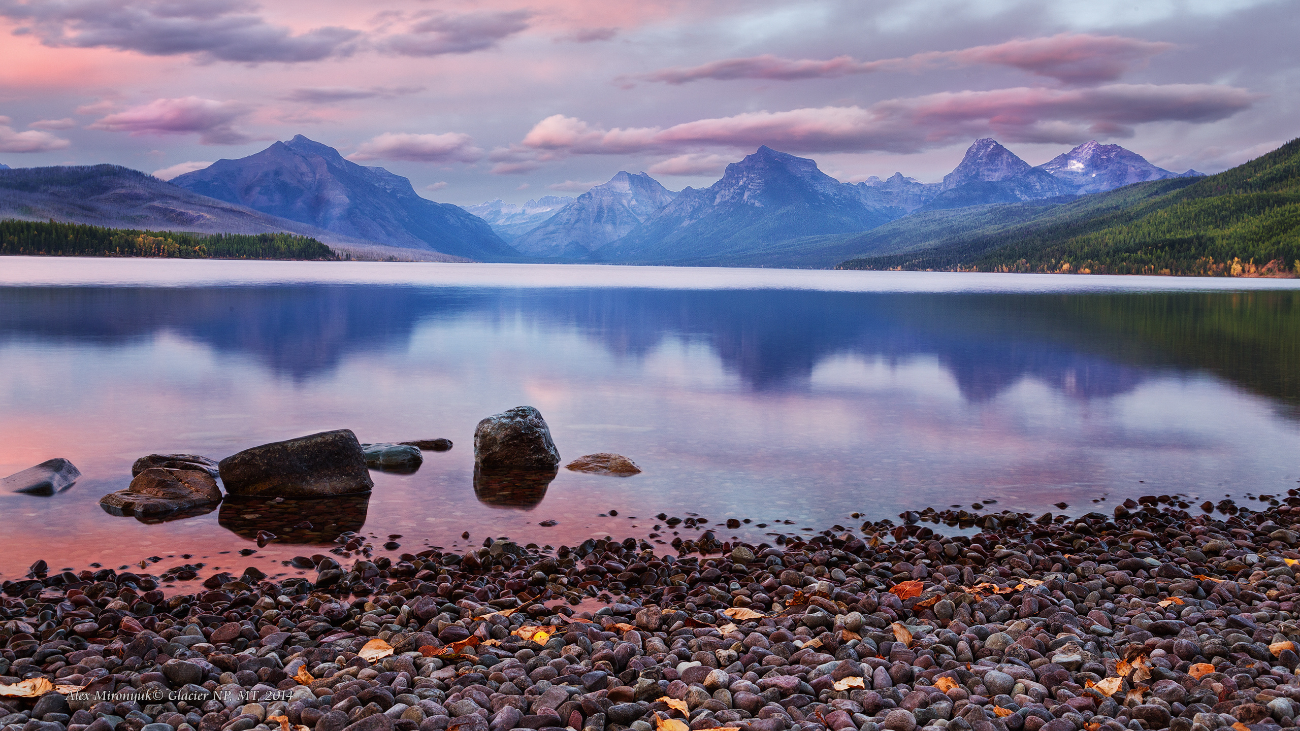 Glacier National Park. Pet, Senior, Landscape, portrait studio, photographer in Miami and Sou