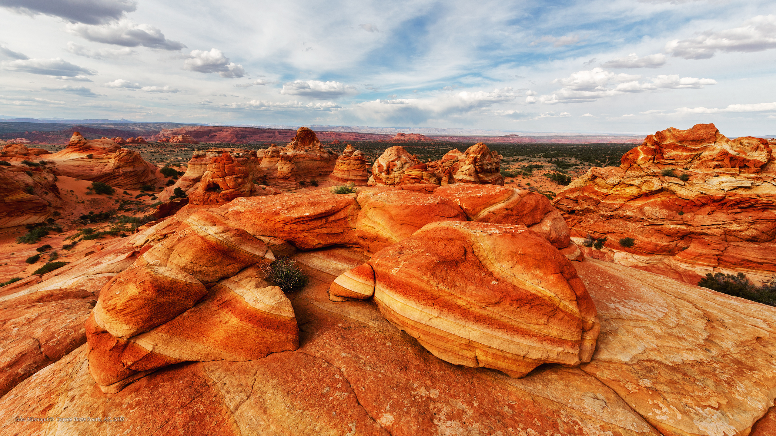 Национальный Монумент Вермилион Клифс. Alex Mironyuk Photography