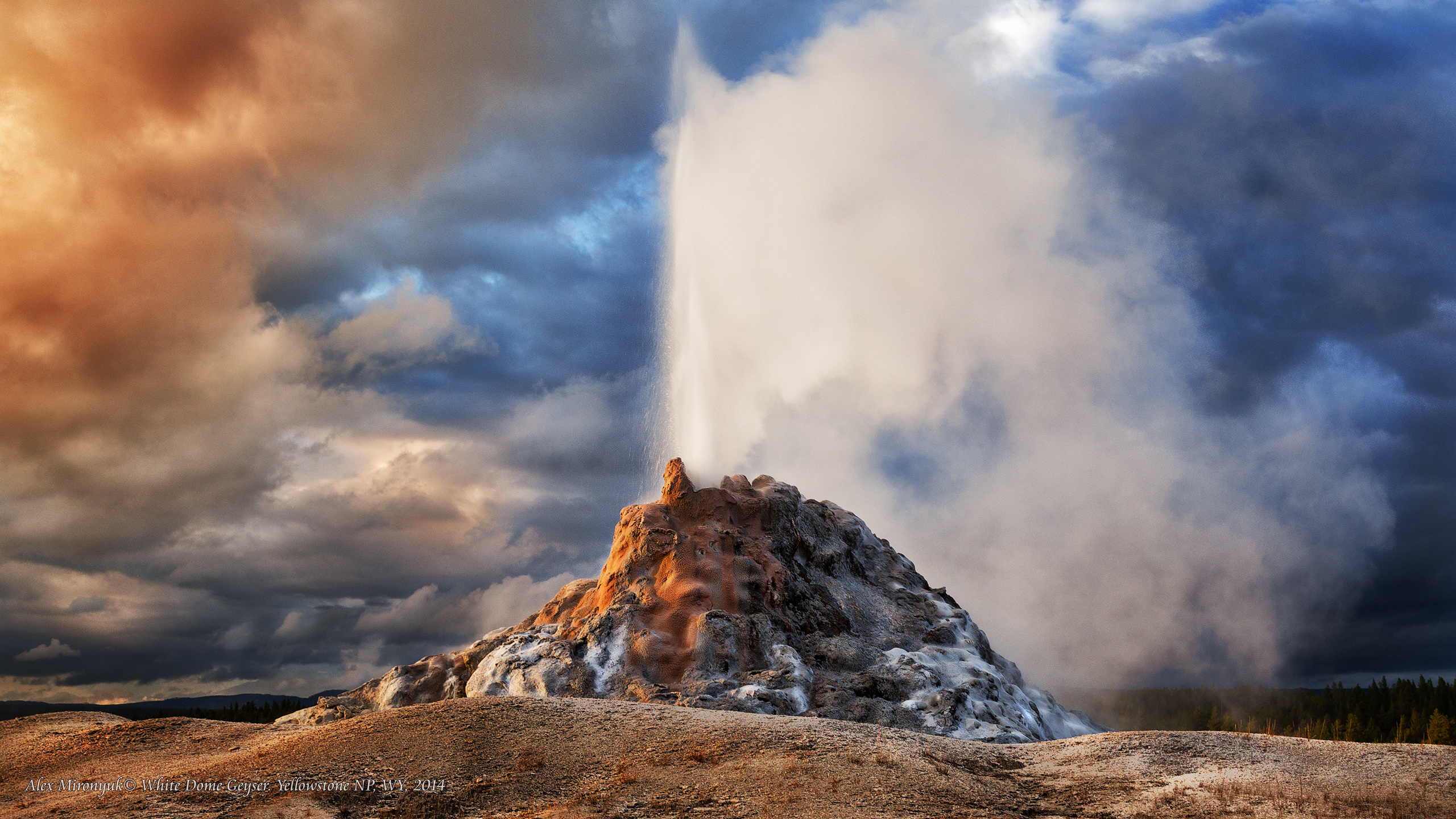 Yellowstone National Park. Alex Mironyuk Photography
