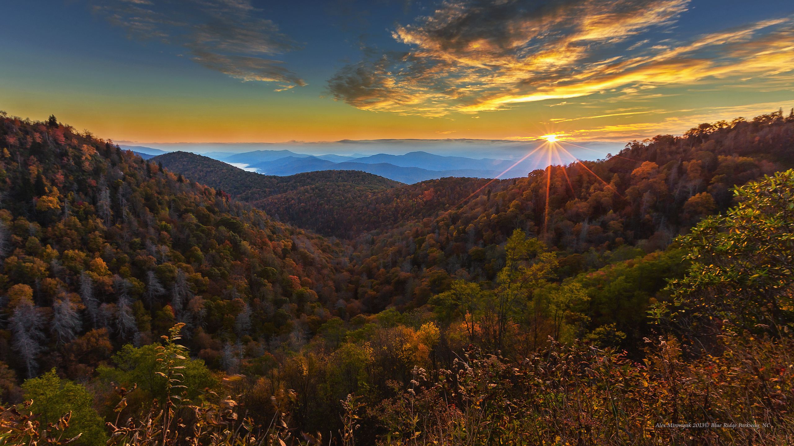 Great Smoky Mountains. Pet, Senior, Landscape, portrait studio, photographer in Miami and Sou