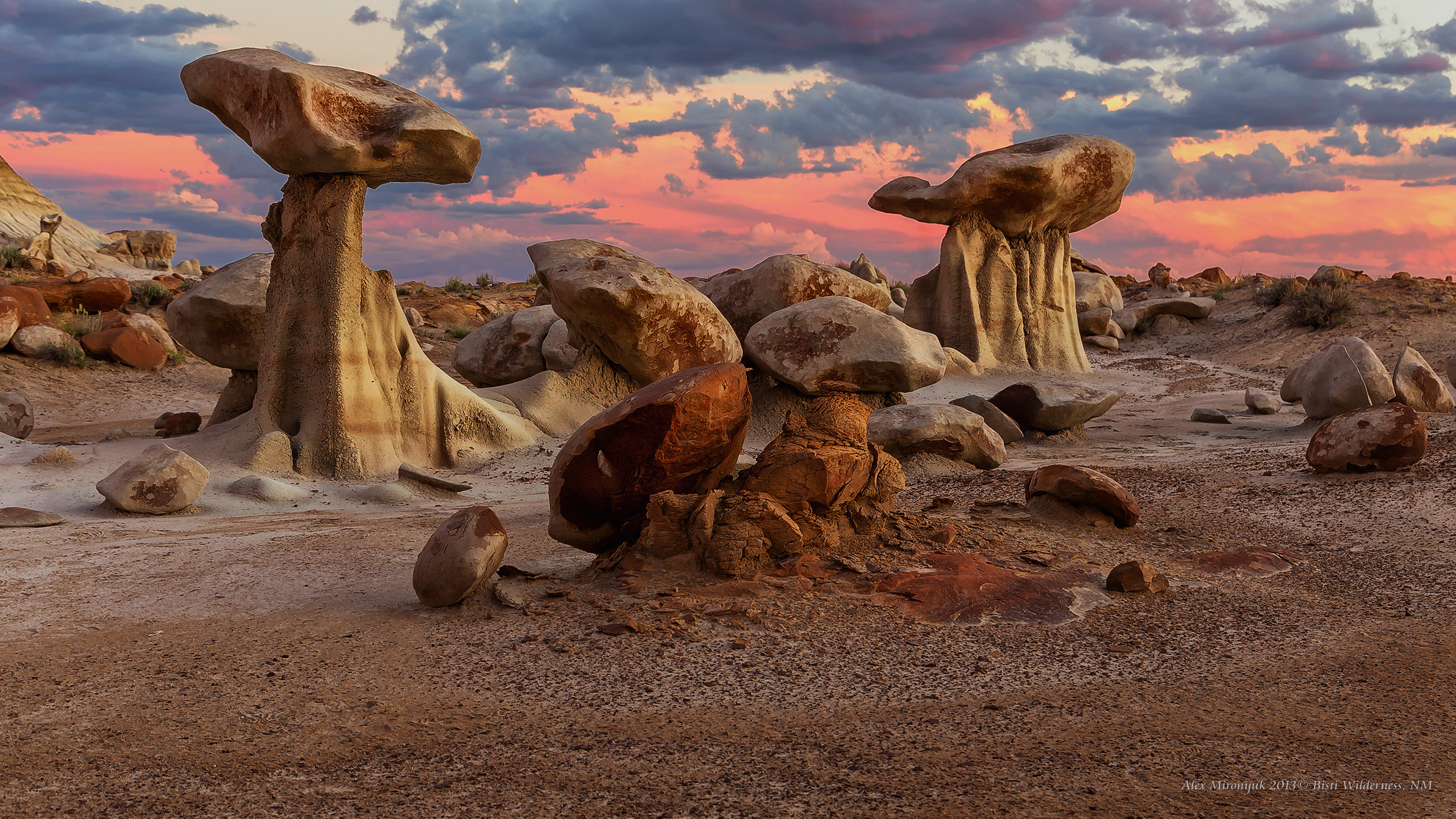 New Mexico Deserts. Pet, Senior, Landscape, portrait studio, photographer in Miami and Sou