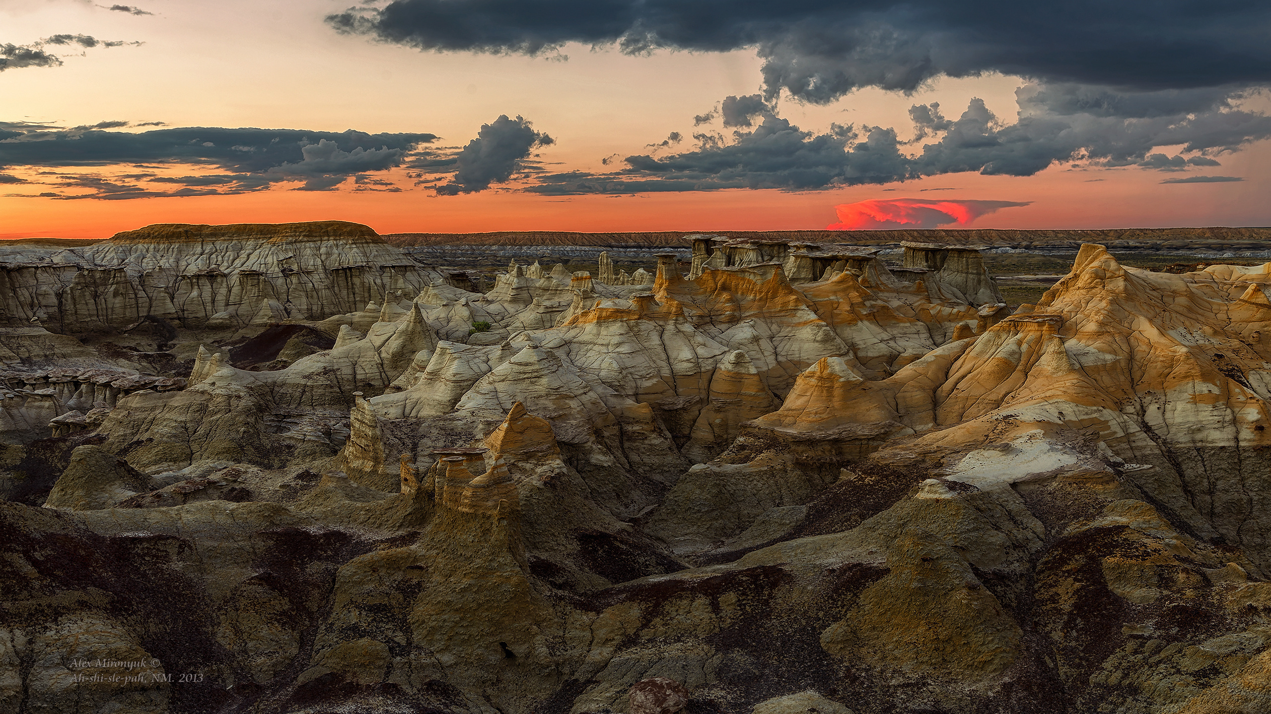 New Mexico Deserts. Pet, Senior, Landscape, portrait studio, photographer in Miami and Sou