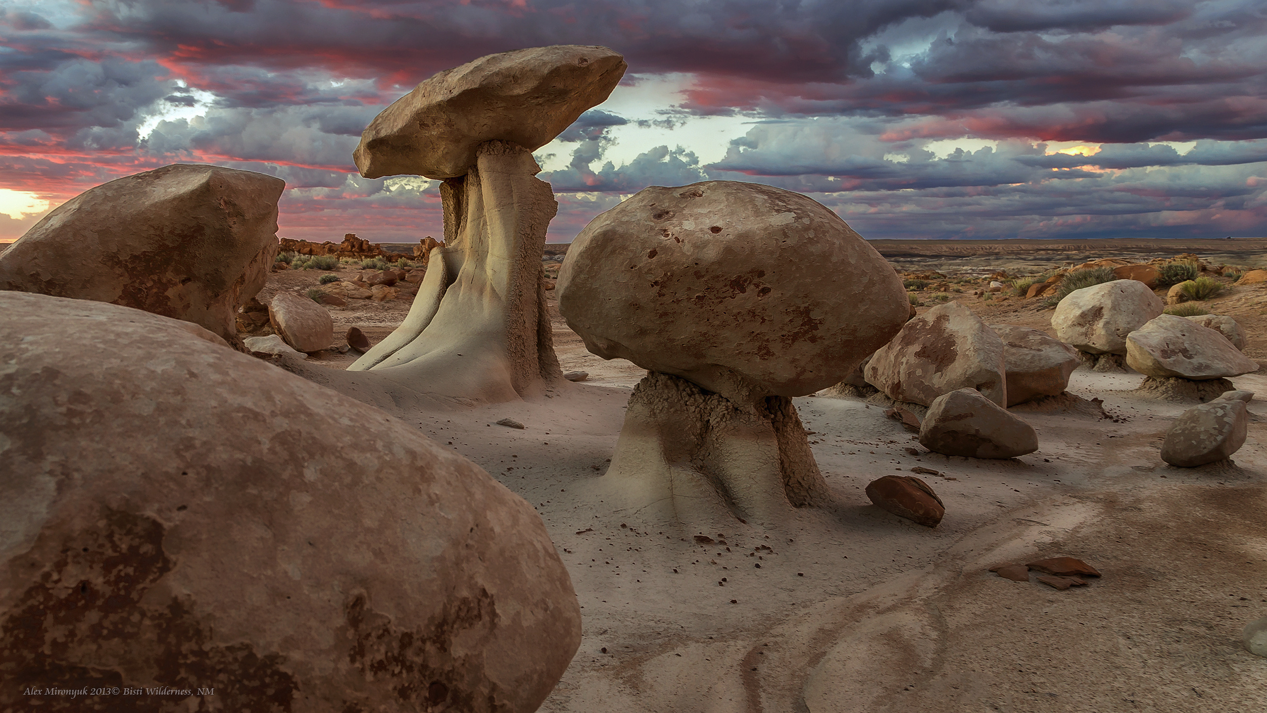 New Mexico Deserts. Pet, Senior, Landscape, portrait studio, photographer in Miami and Sou