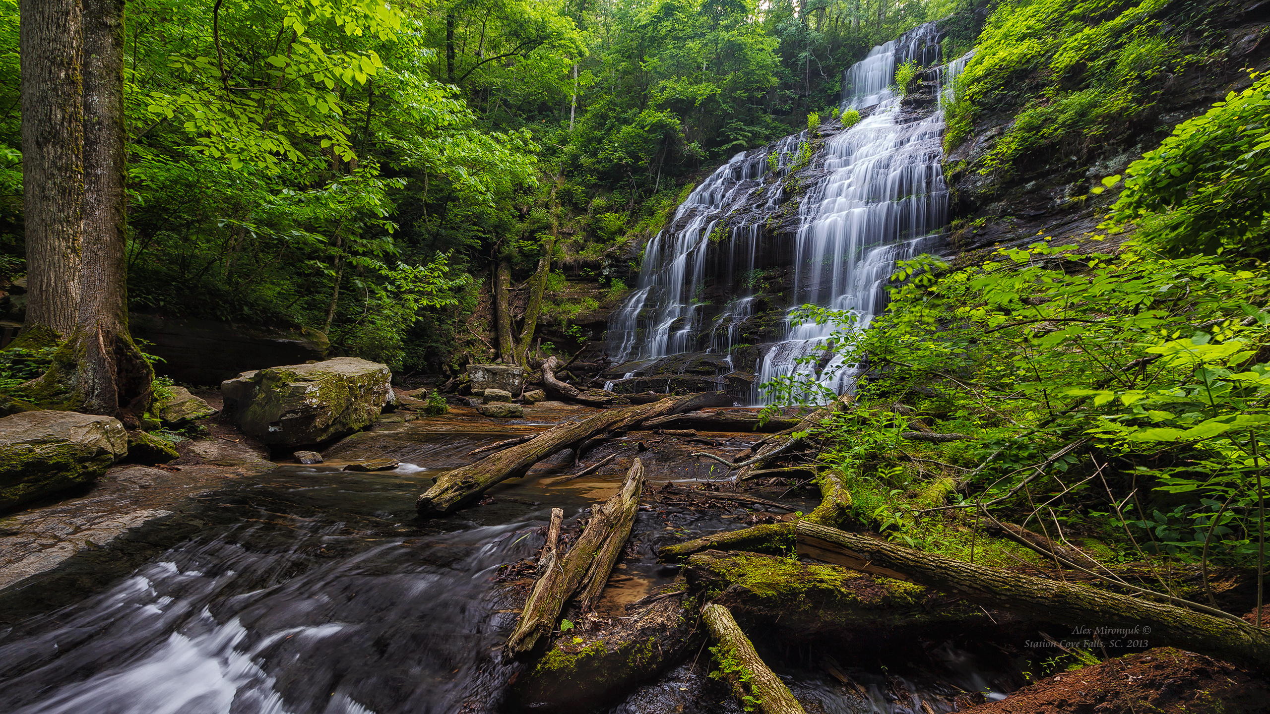 Great Smoky Mountains. Pet, Senior, Landscape, portrait studio, photographer in Miami and Sou