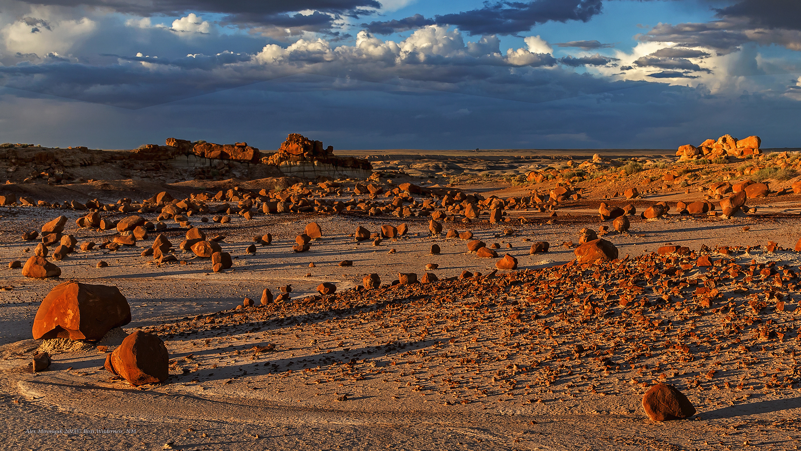 New Mexico Deserts. Pet, Senior, Landscape, portrait studio, photographer in Miami and Sou