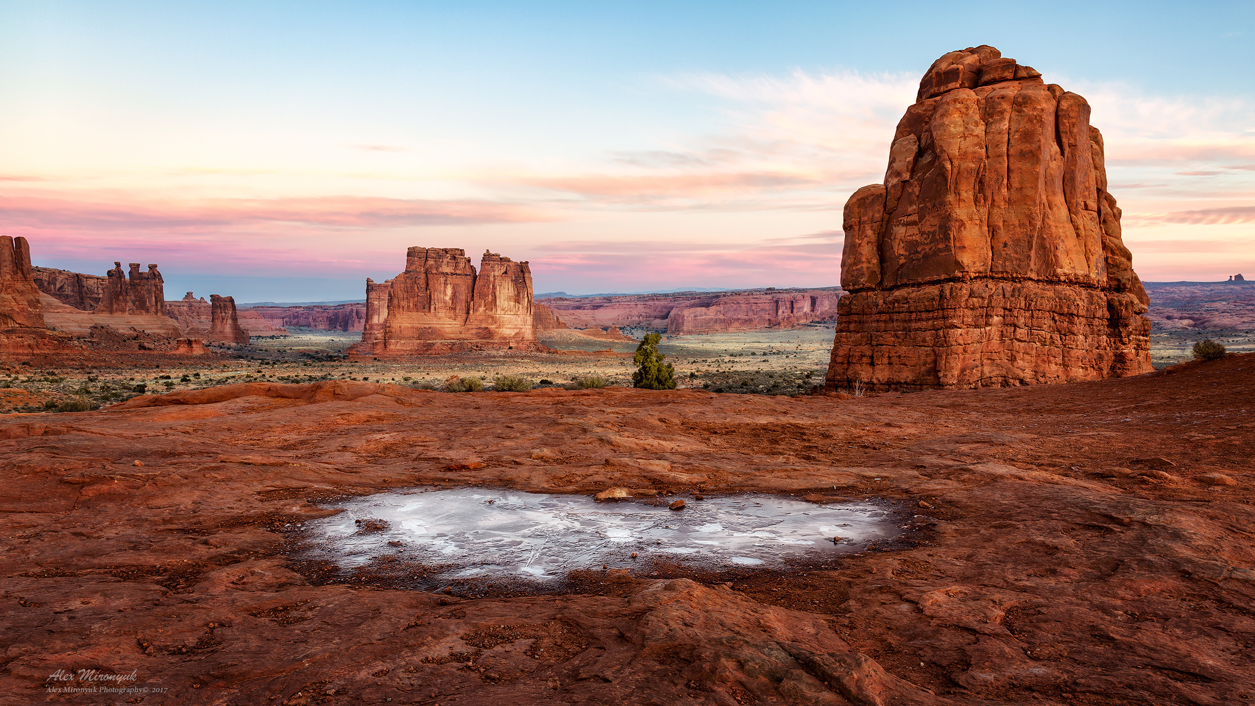 Arches National Park. Pet, Senior, Landscape, portrait studio, photographer in Miami and Sou