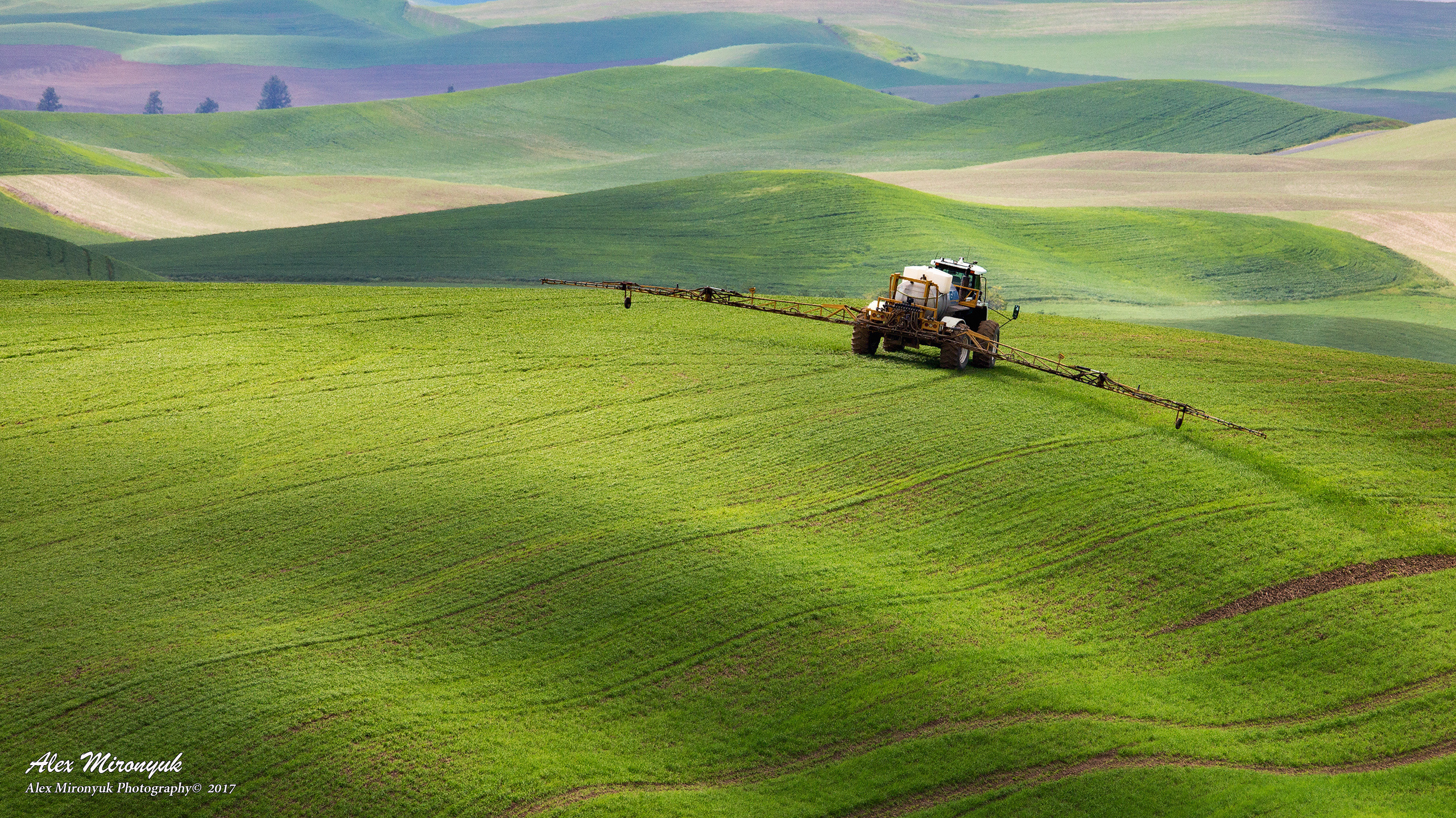 Palouse. Alex Mironyuk Photography