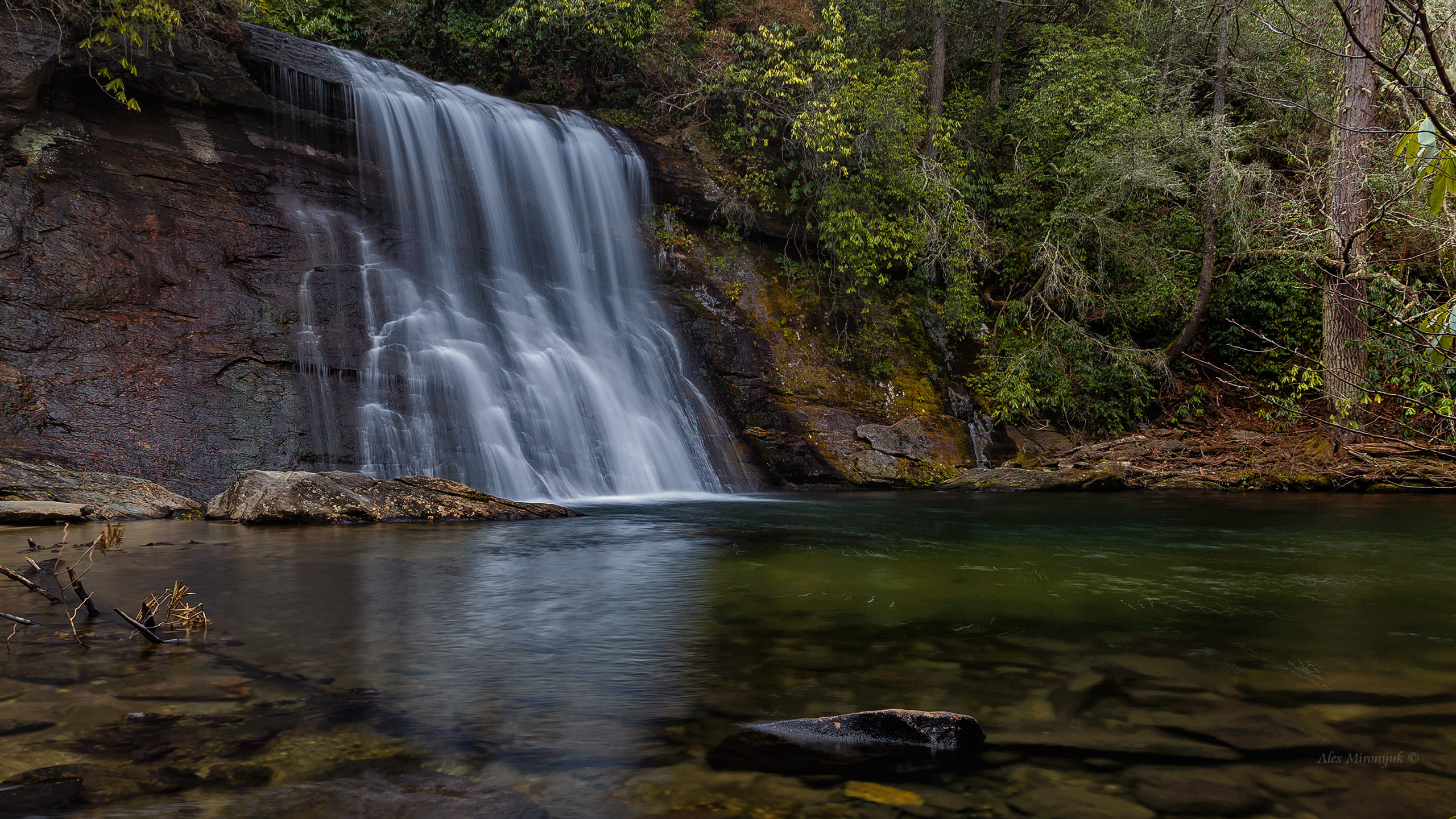 Great Smoky Mountains. Pet, Senior, Landscape, portrait studio, photographer in Miami and Sou