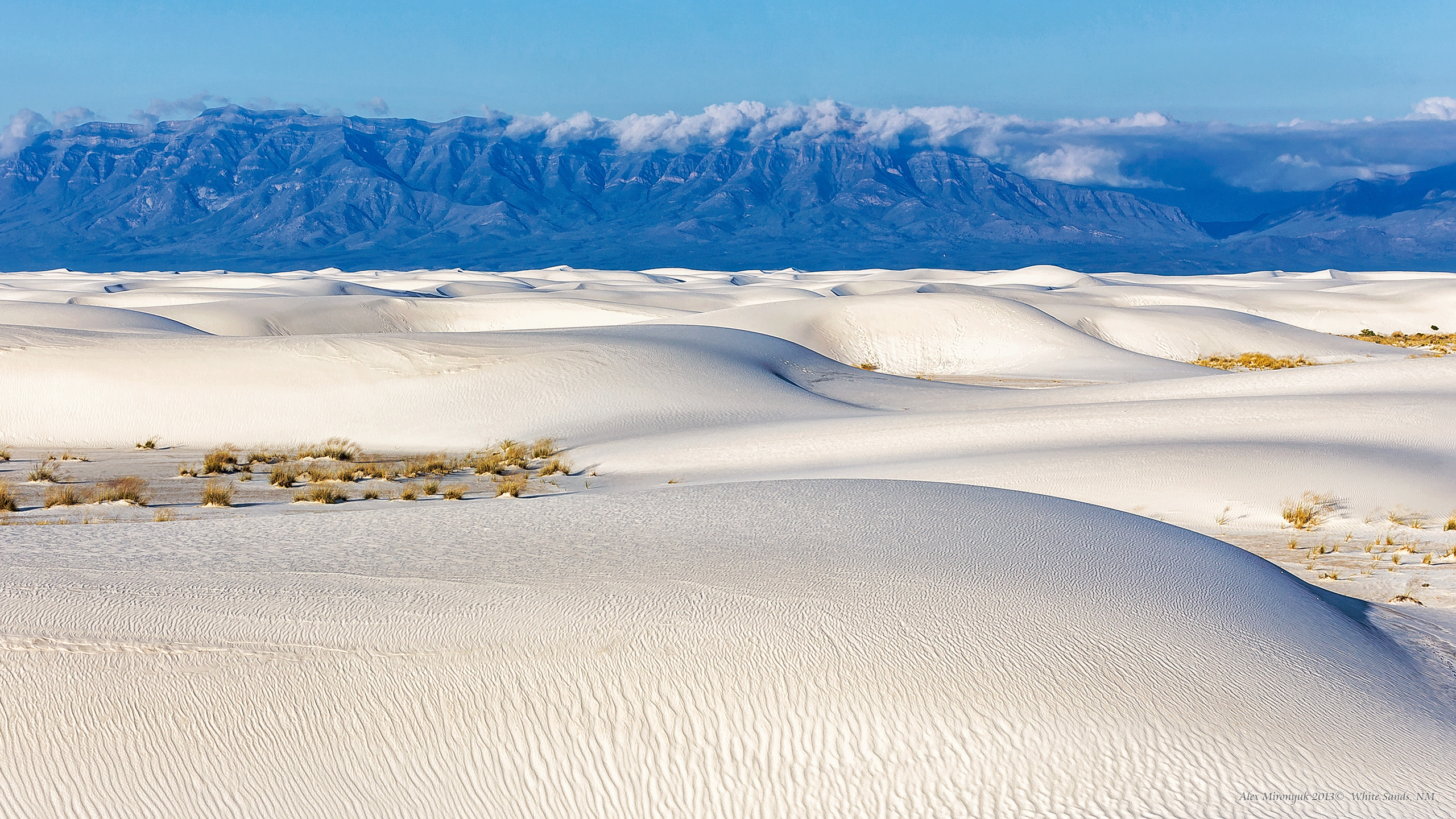 New Mexico Deserts. Pet, Senior, Landscape, portrait studio, photographer in Miami and Sou