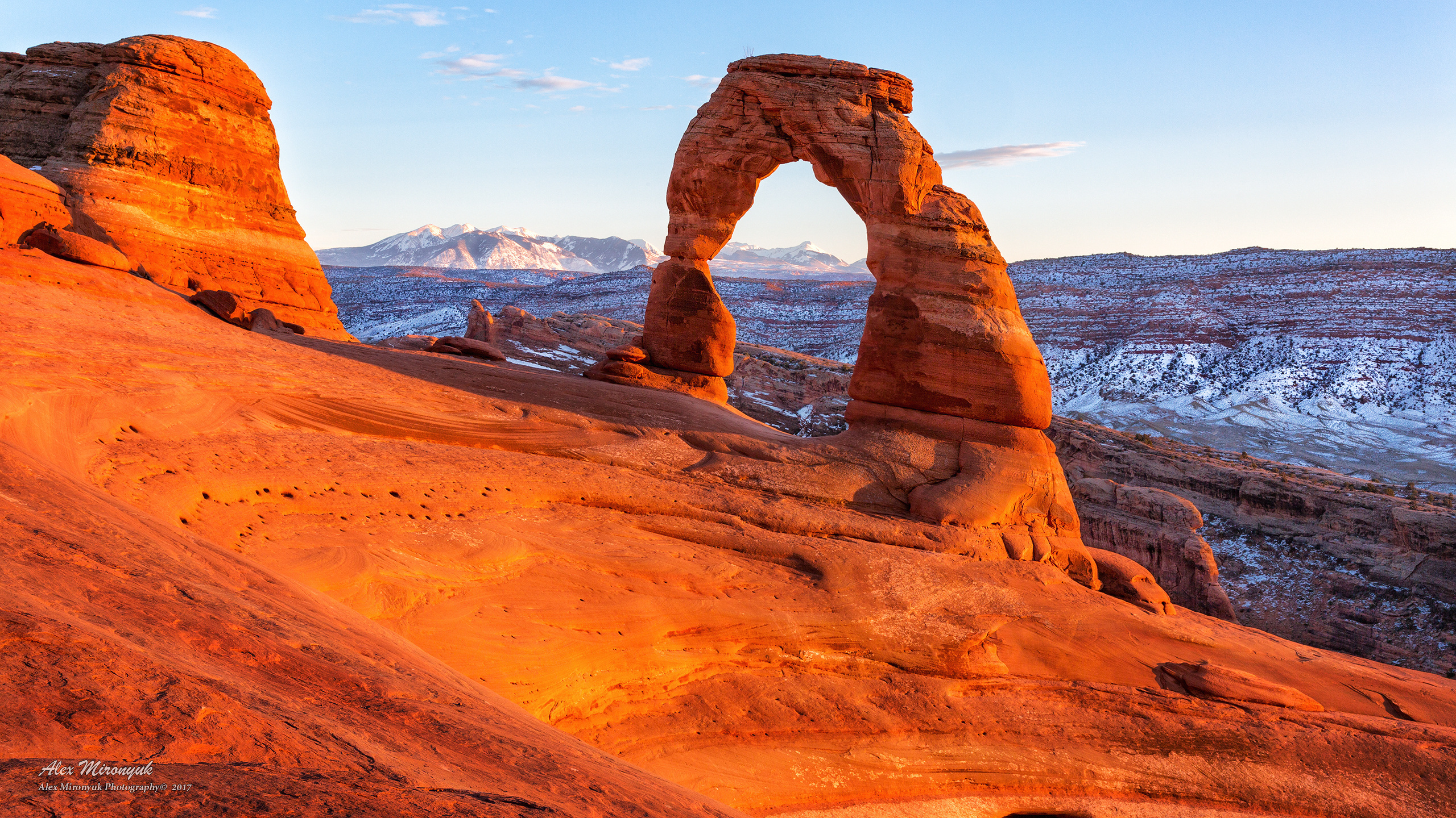 Arches National Park. Pet, Senior, Landscape, portrait studio, photographer in Miami and Sou