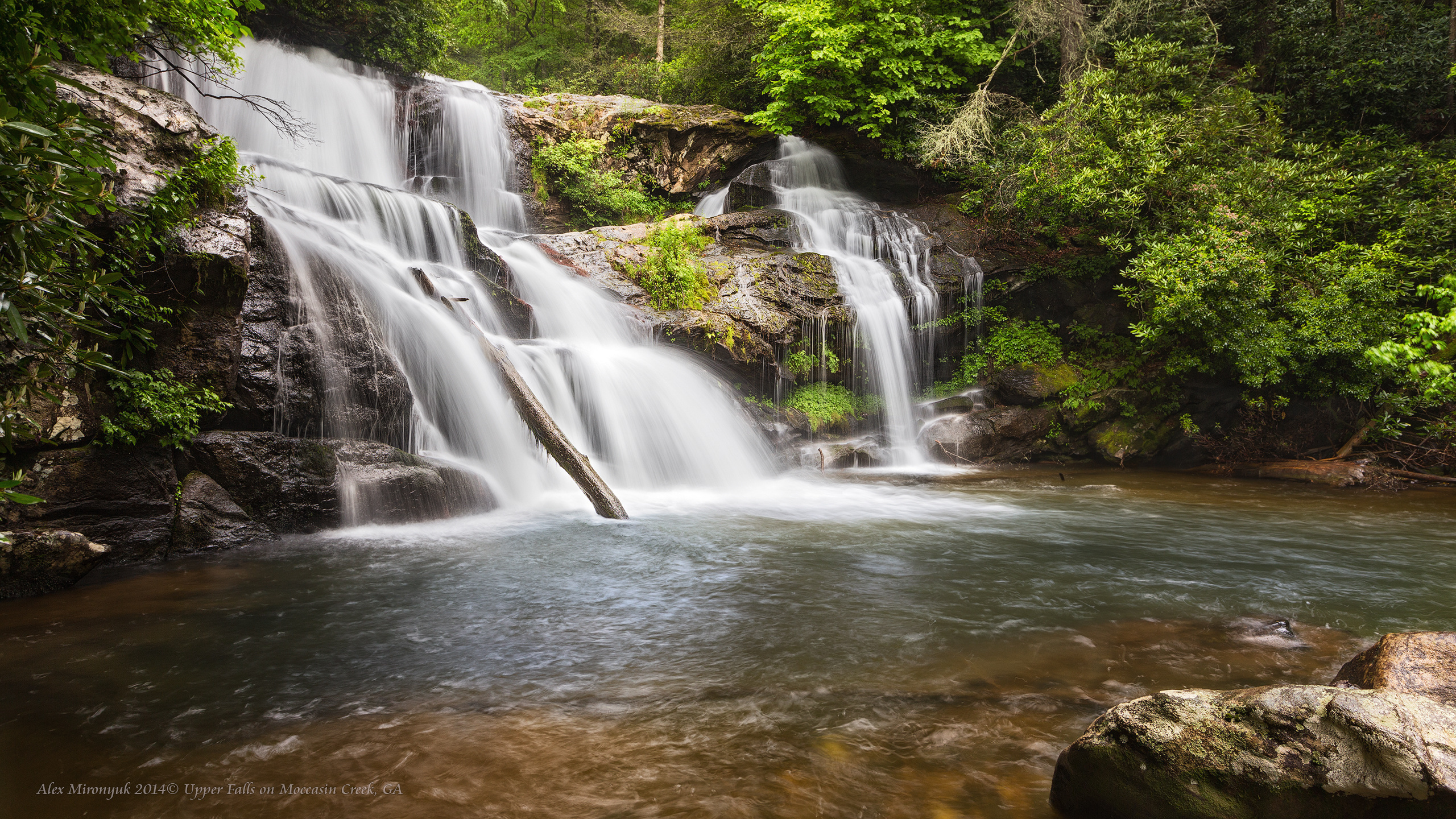 Great Smoky Mountains. Pet, Senior, Landscape, portrait studio, photographer in Miami and Sou