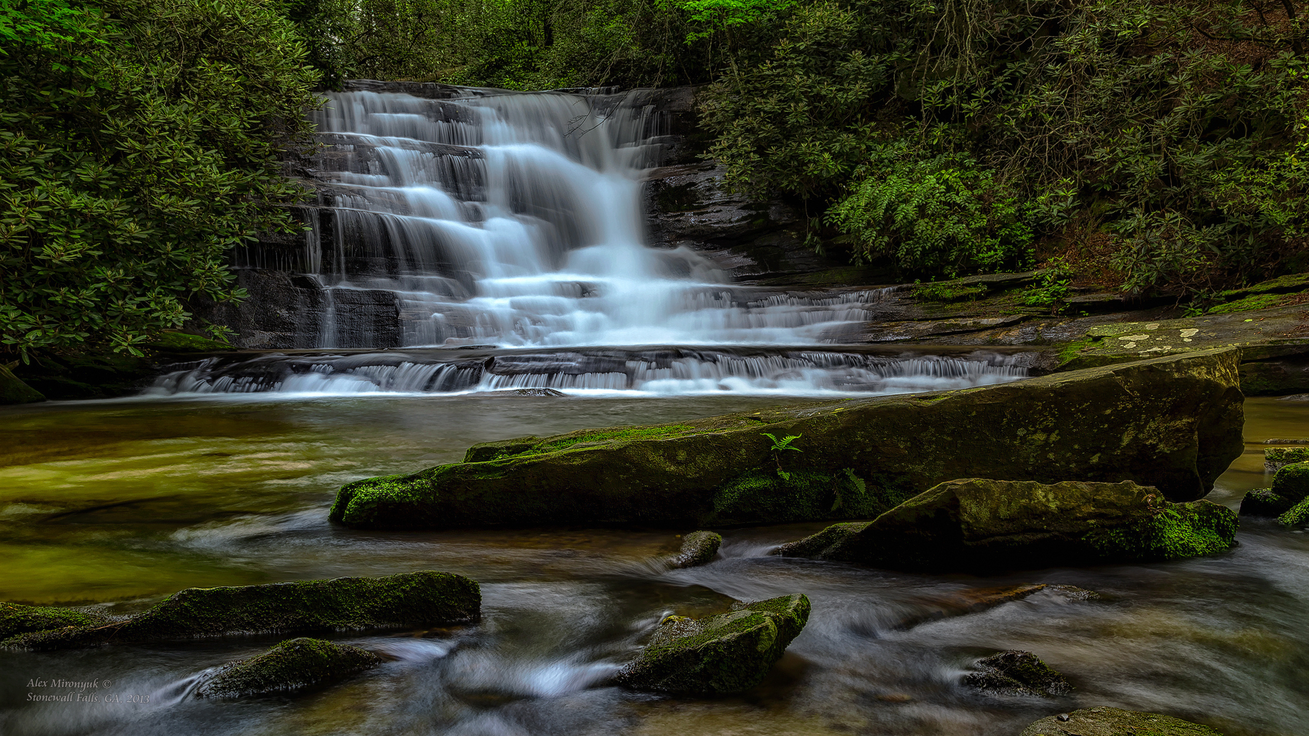 Great Smoky Mountains. Pet, Senior, Landscape, portrait studio, photographer in Miami and Sou