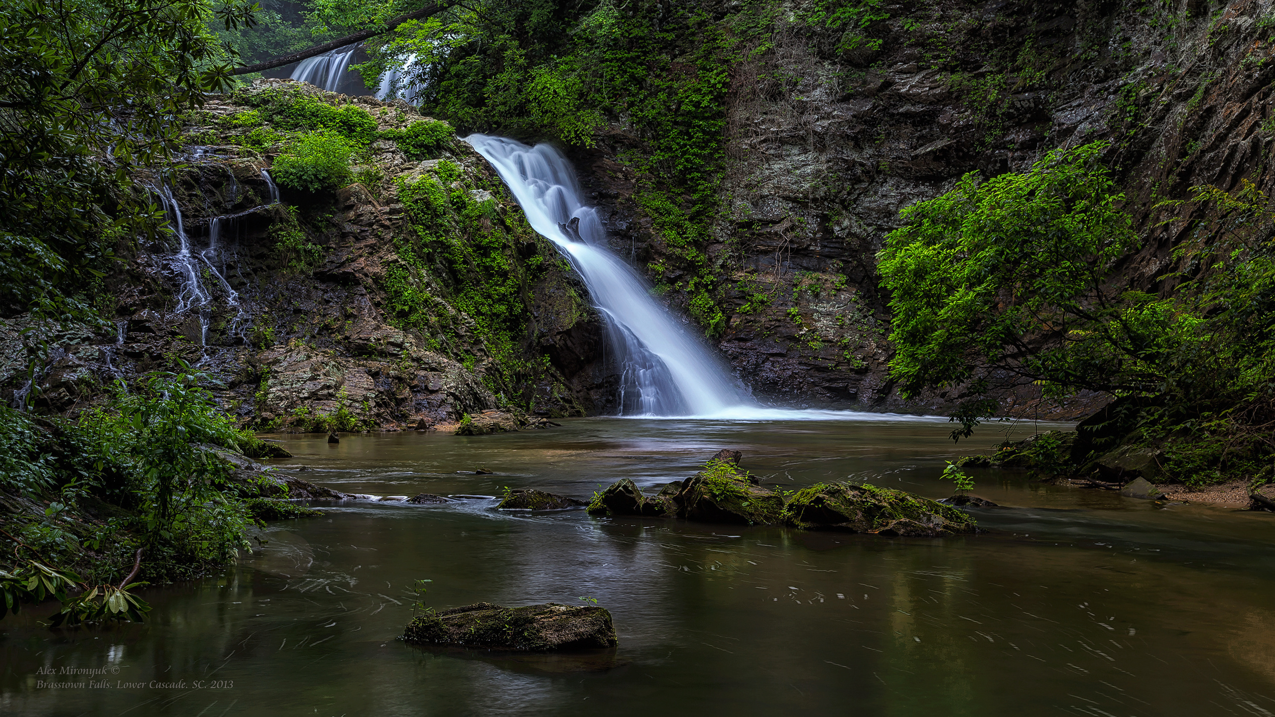 Great Smoky Mountains. Pet, Senior, Landscape, portrait studio, photographer in Miami and Sou