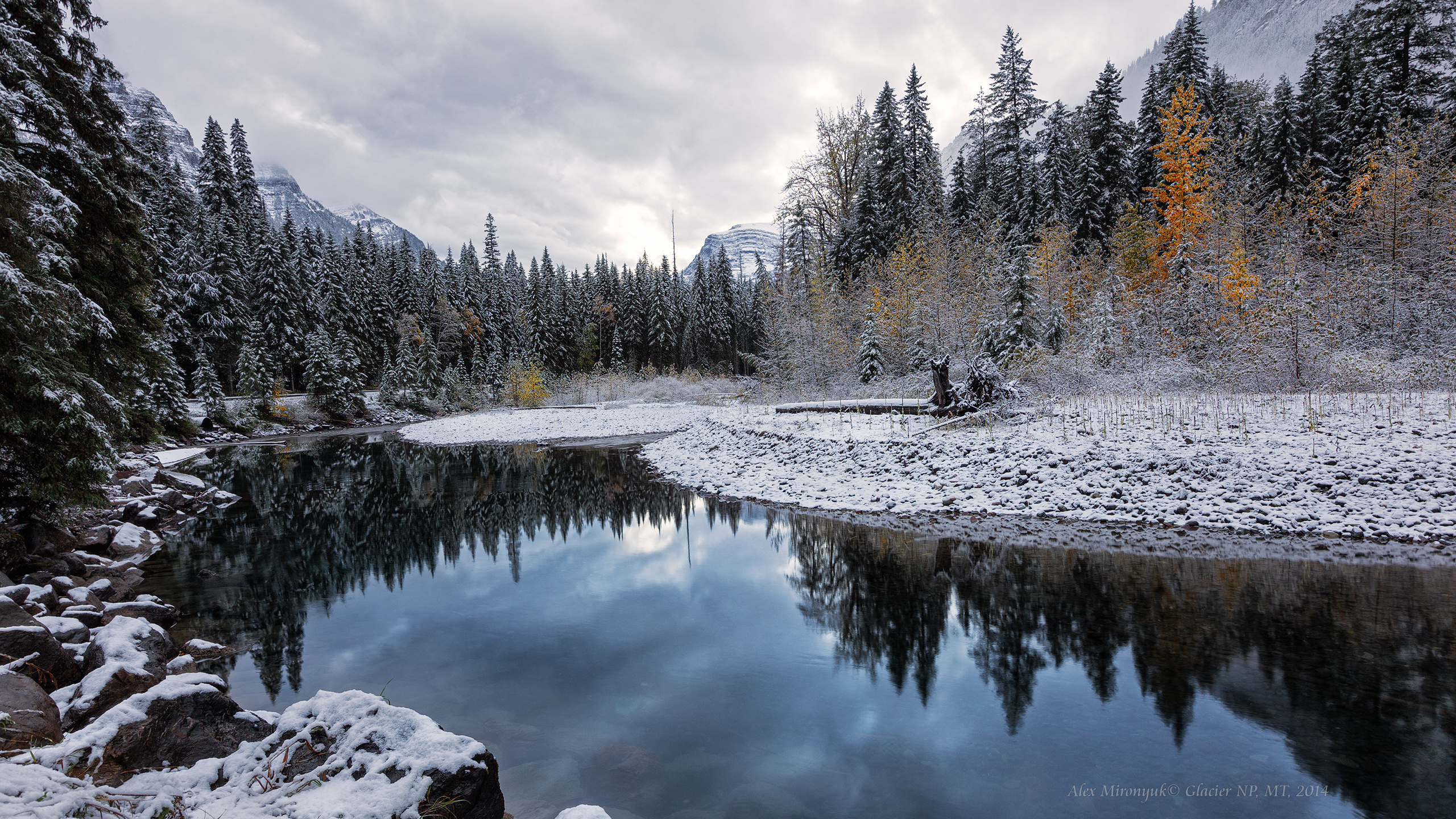 Glacier National Park. Pet, Senior, Landscape, portrait studio, photographer in Miami and Sou
