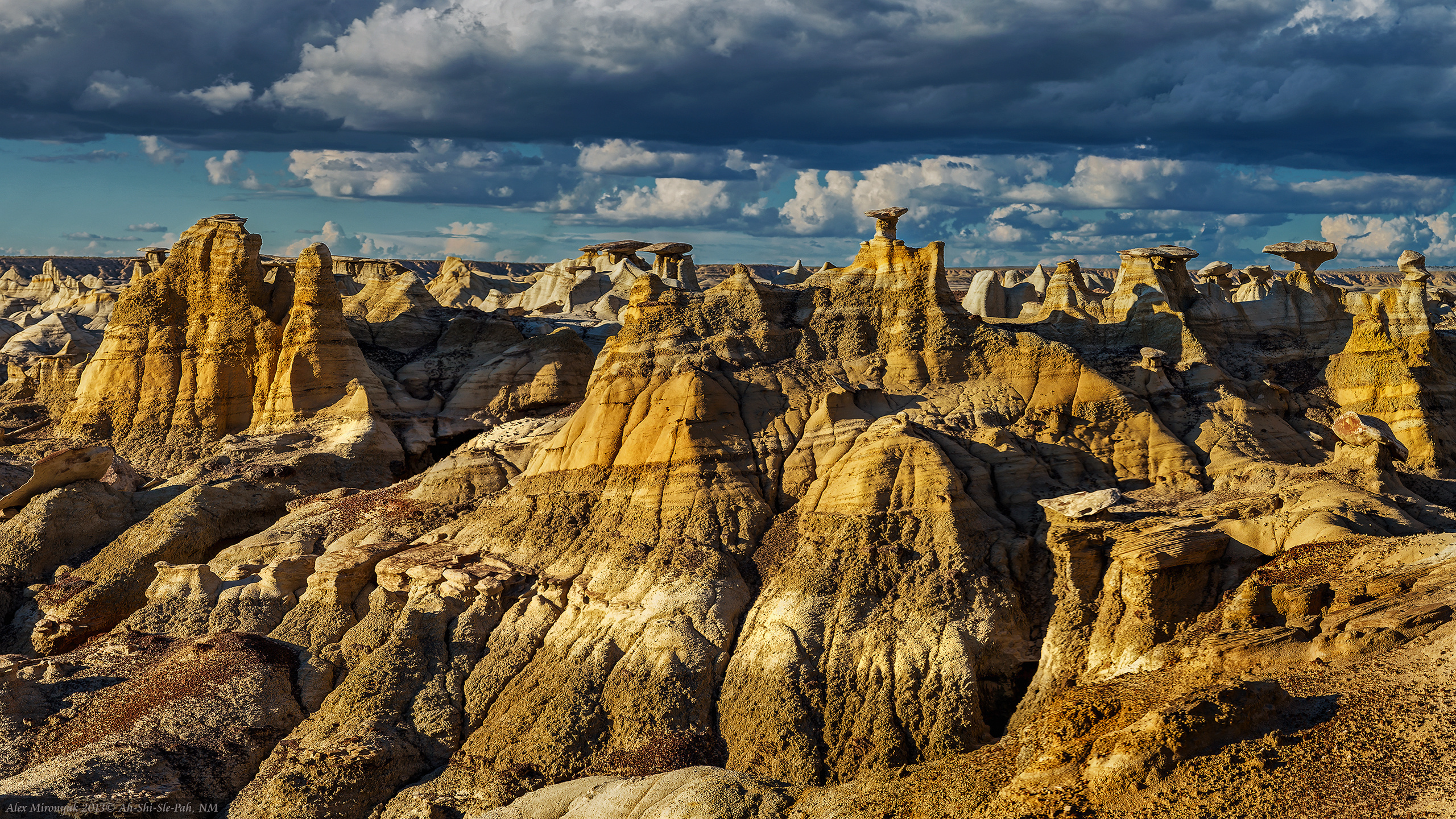 New Mexico Deserts. Pet, Senior, Landscape, portrait studio, photographer in Miami and Sou