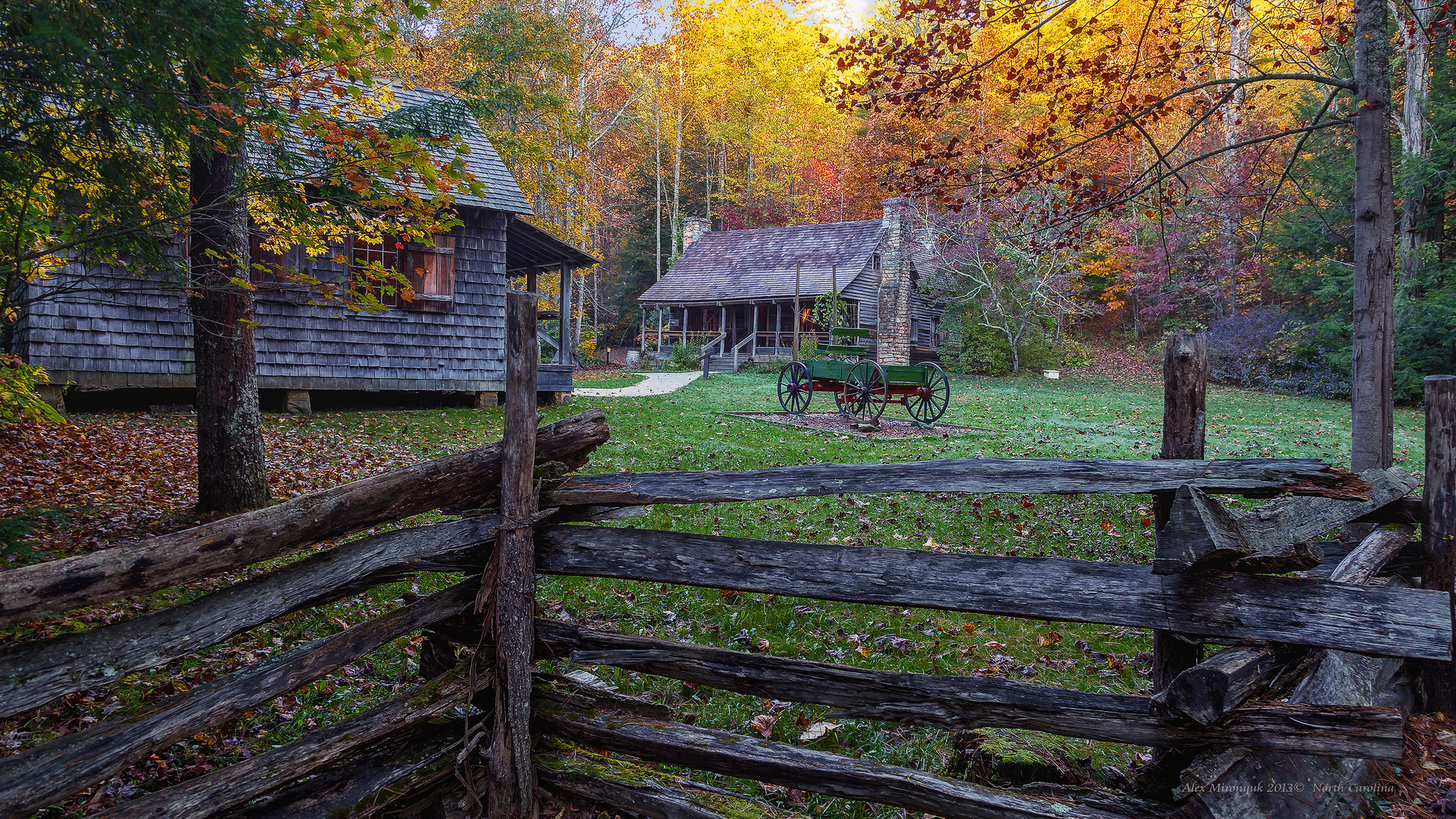 Great Smoky Mountains. Pet, Senior, Landscape, portrait studio, photographer in Miami and Sou