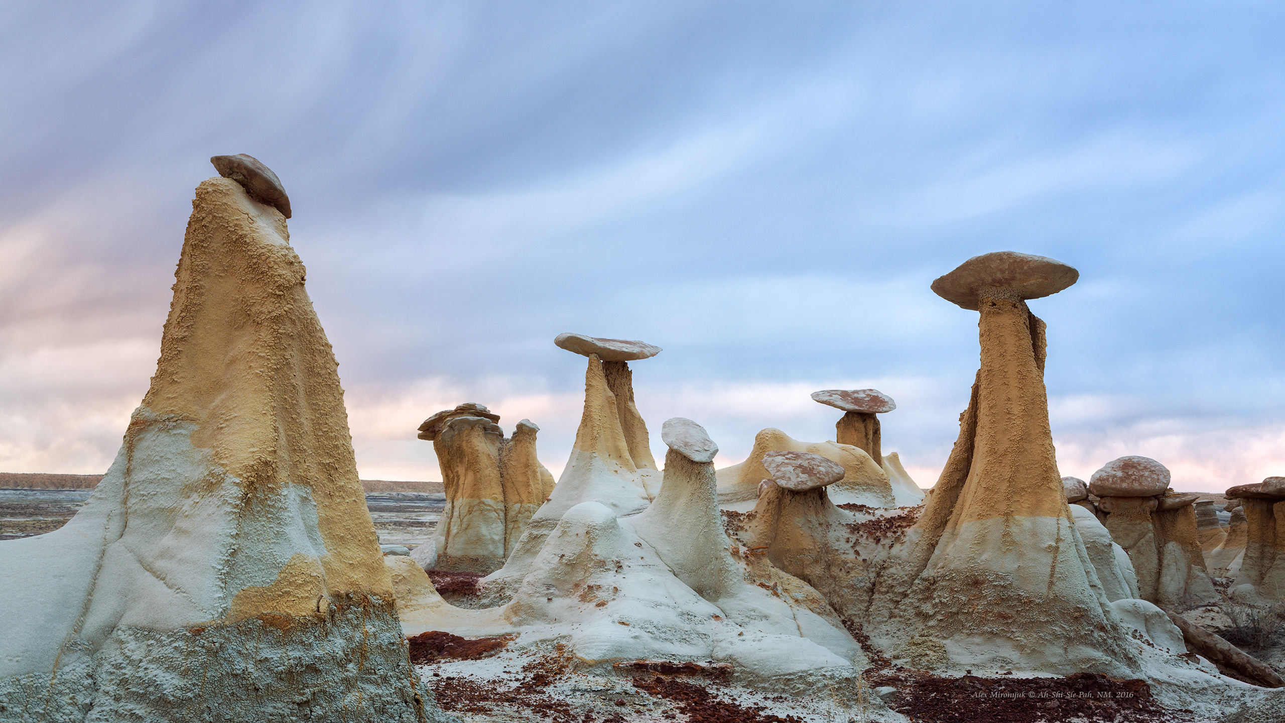 New Mexico Deserts. Pet, Senior, Landscape, portrait studio, photographer in Miami and Sou