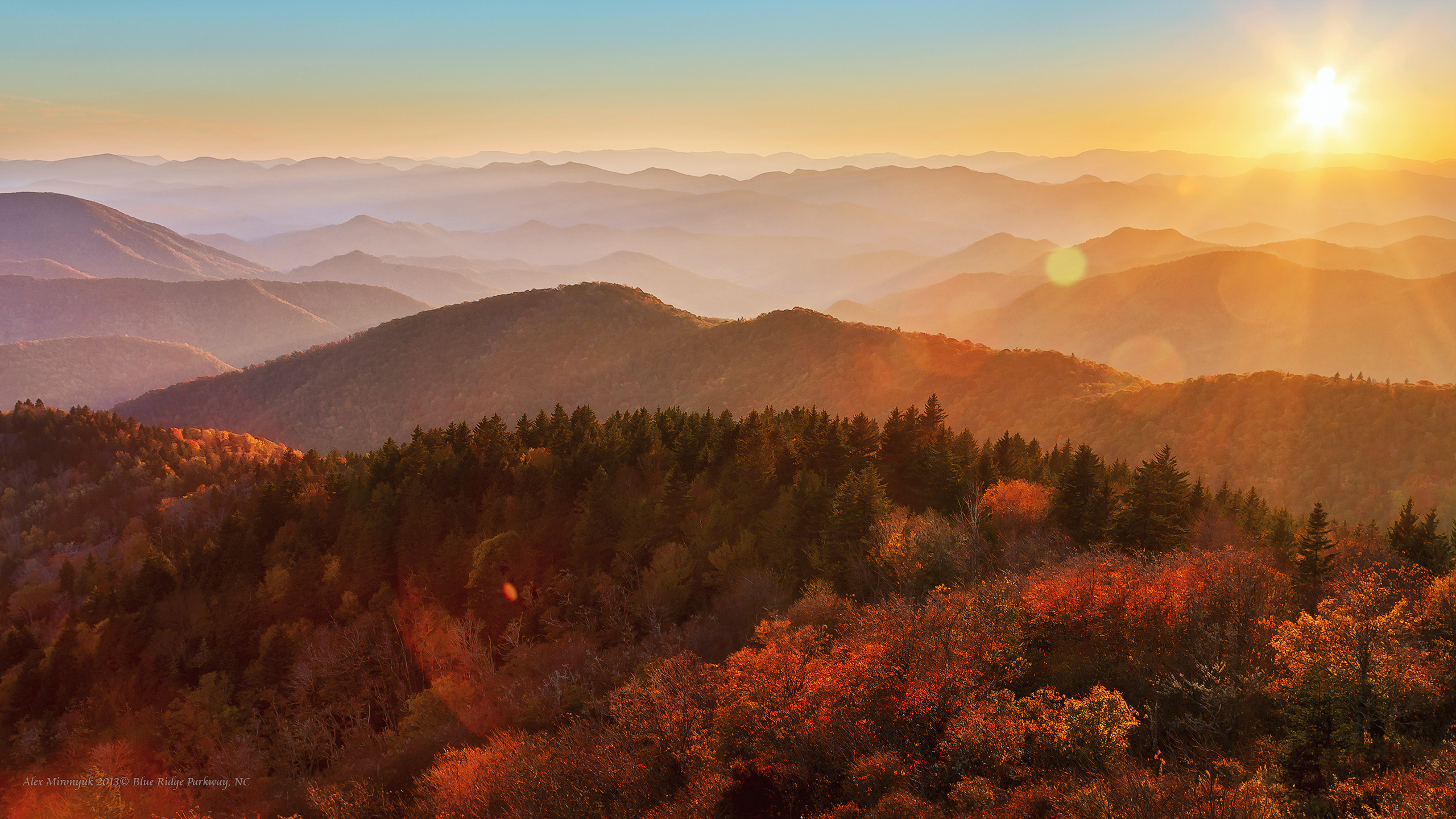 Great Smoky Mountains. Pet, Senior, Landscape, portrait studio, photographer in Miami and Sou