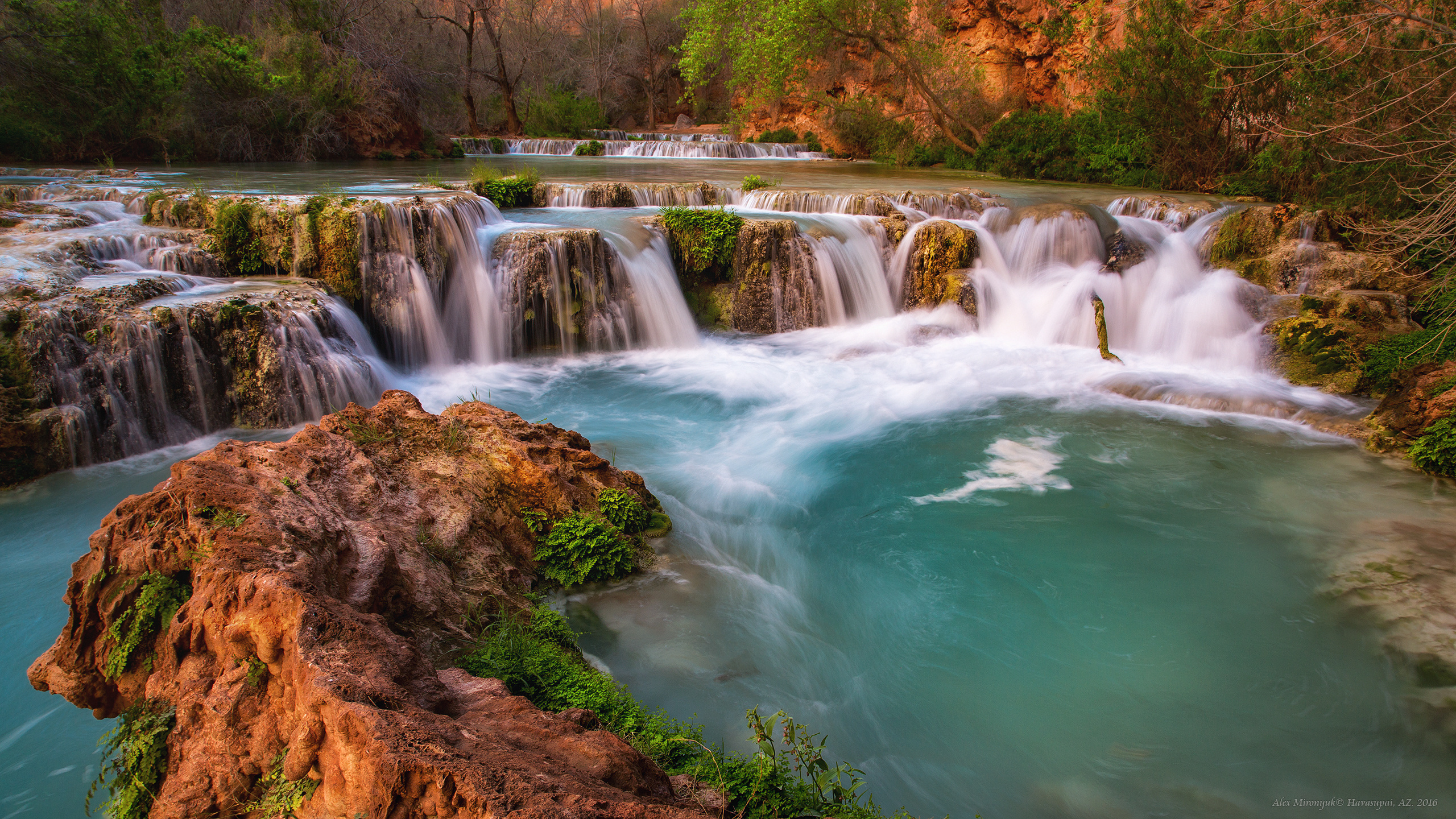 Havasu. Alex Mironyuk Photography