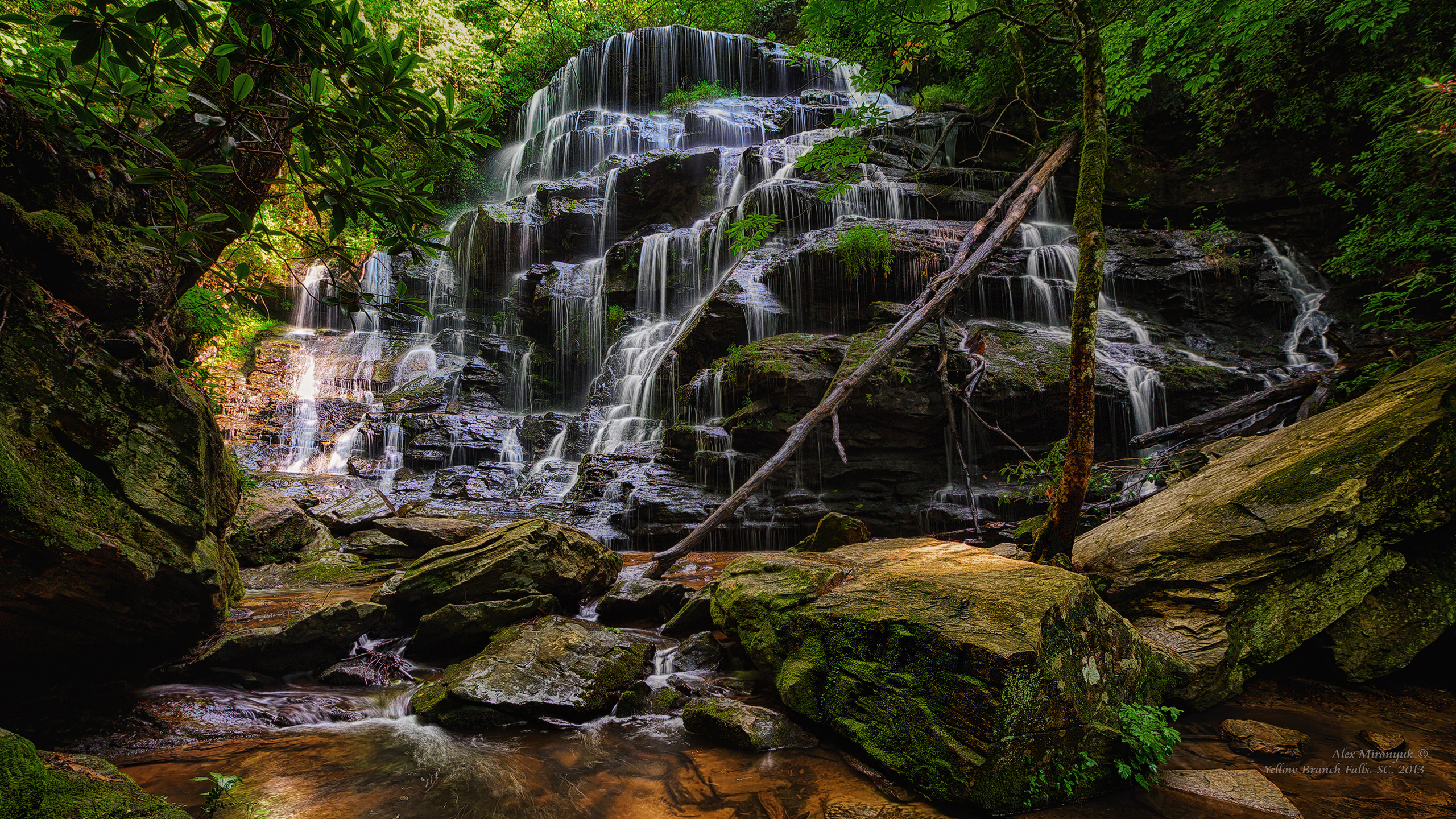 Great Smoky Mountains. Pet, Senior, Landscape, portrait studio, photographer in Miami and Sou