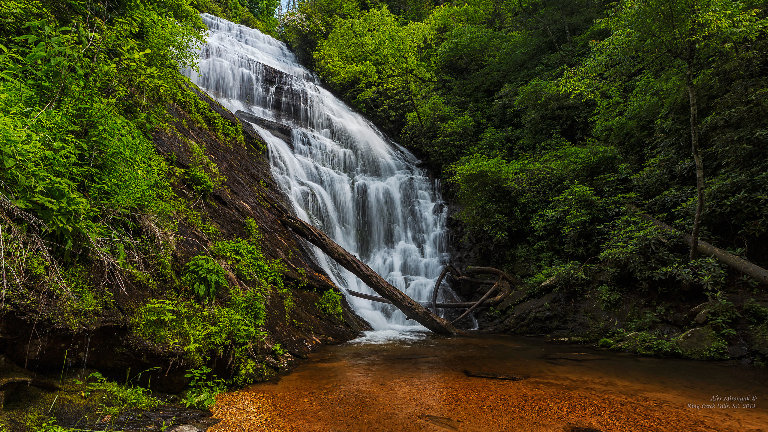 Great Smoky Mountains. Pet, Senior, Landscape, portrait studio, photographer in Miami and Sou