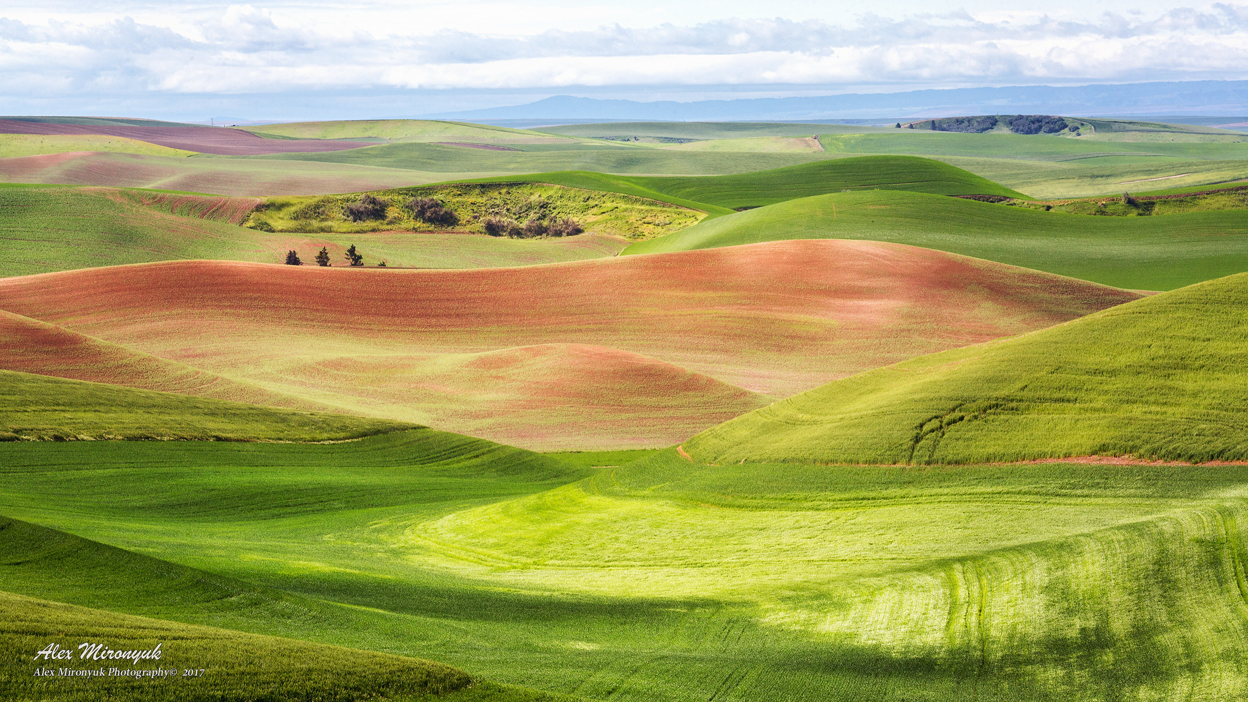 Palouse. Alex Mironyuk Photography