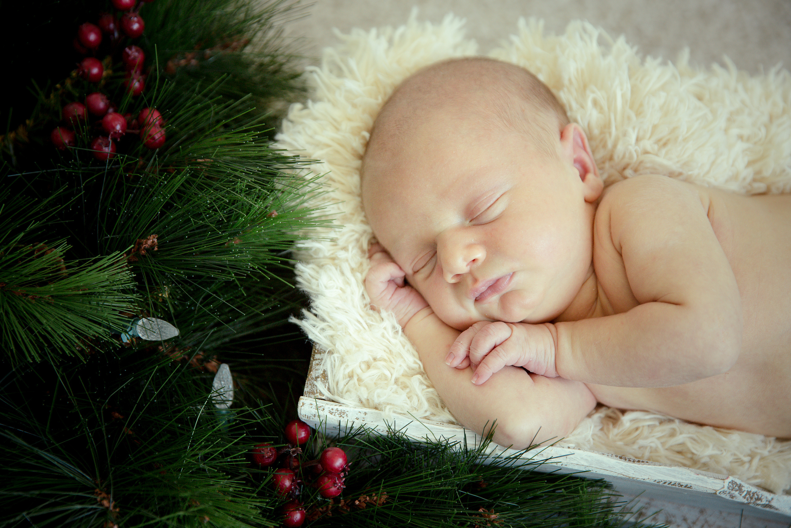 New Born & Maternity. Pet, Senior, Landscape, portrait studio, photographer in Miami and Sou