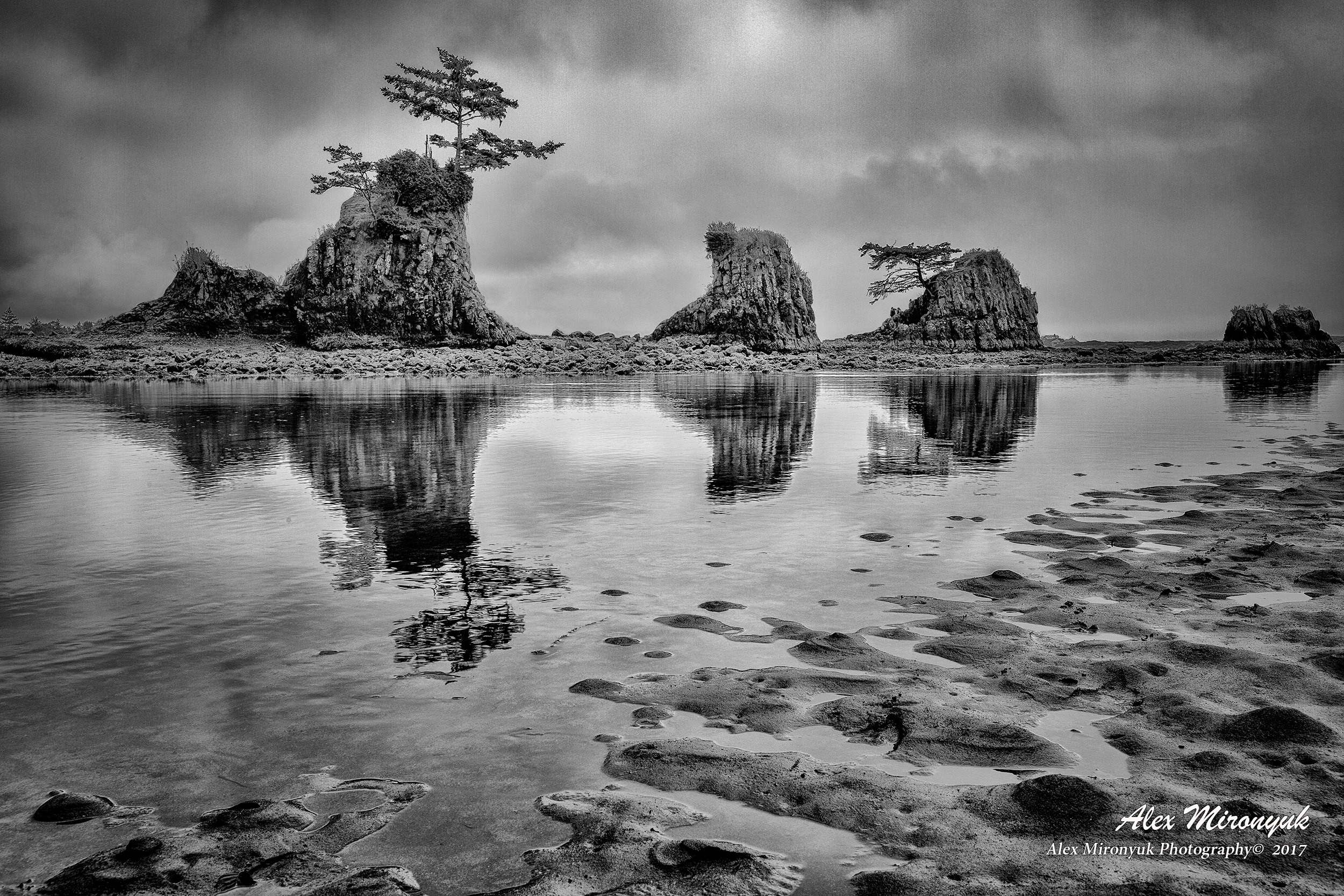West Coast Shore (California, Oregon, Washington). Alex Mironyuk Photography
