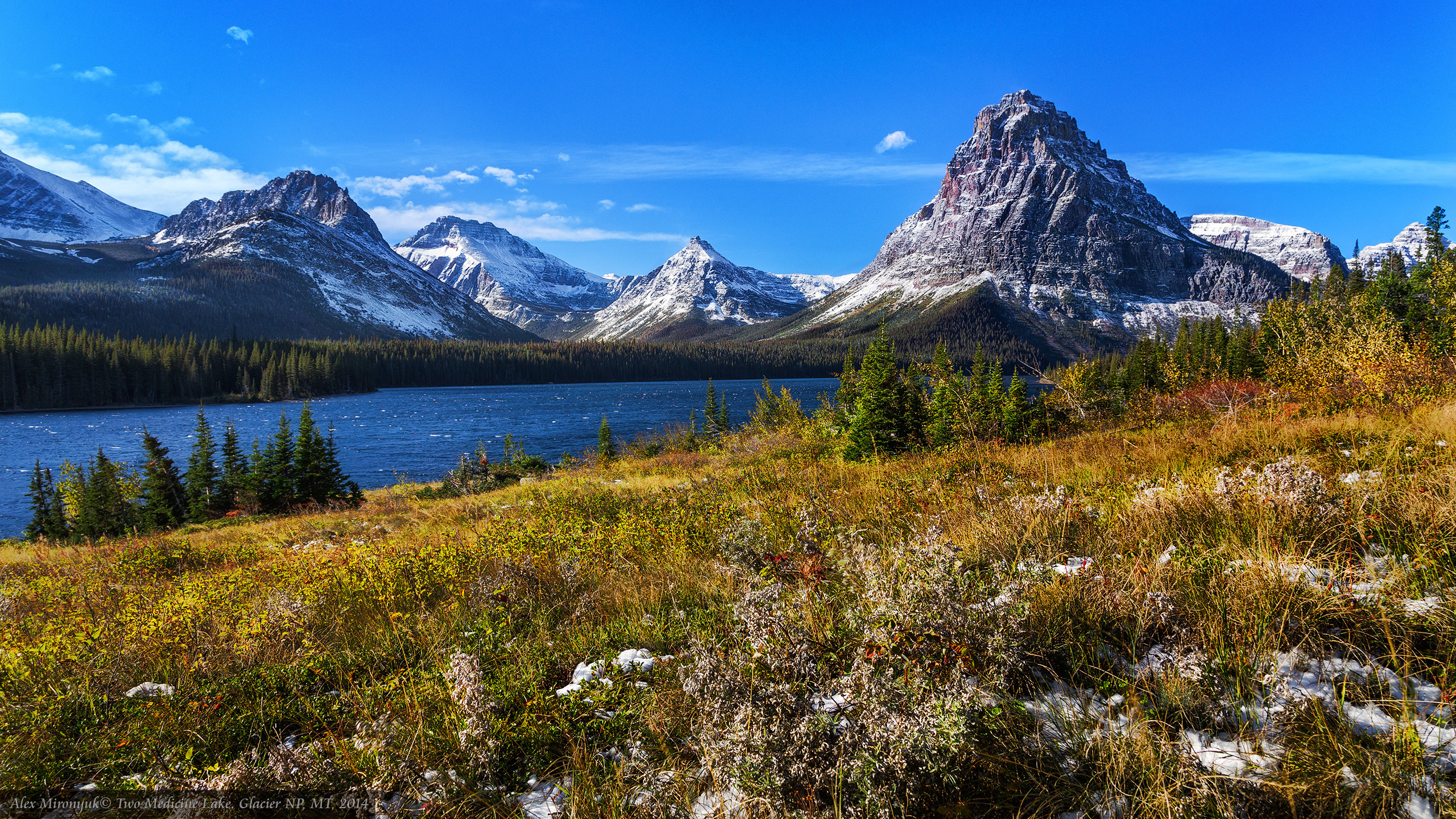 Glacier National Park. Pet, Senior, Landscape, portrait studio, photographer in Miami and Sou