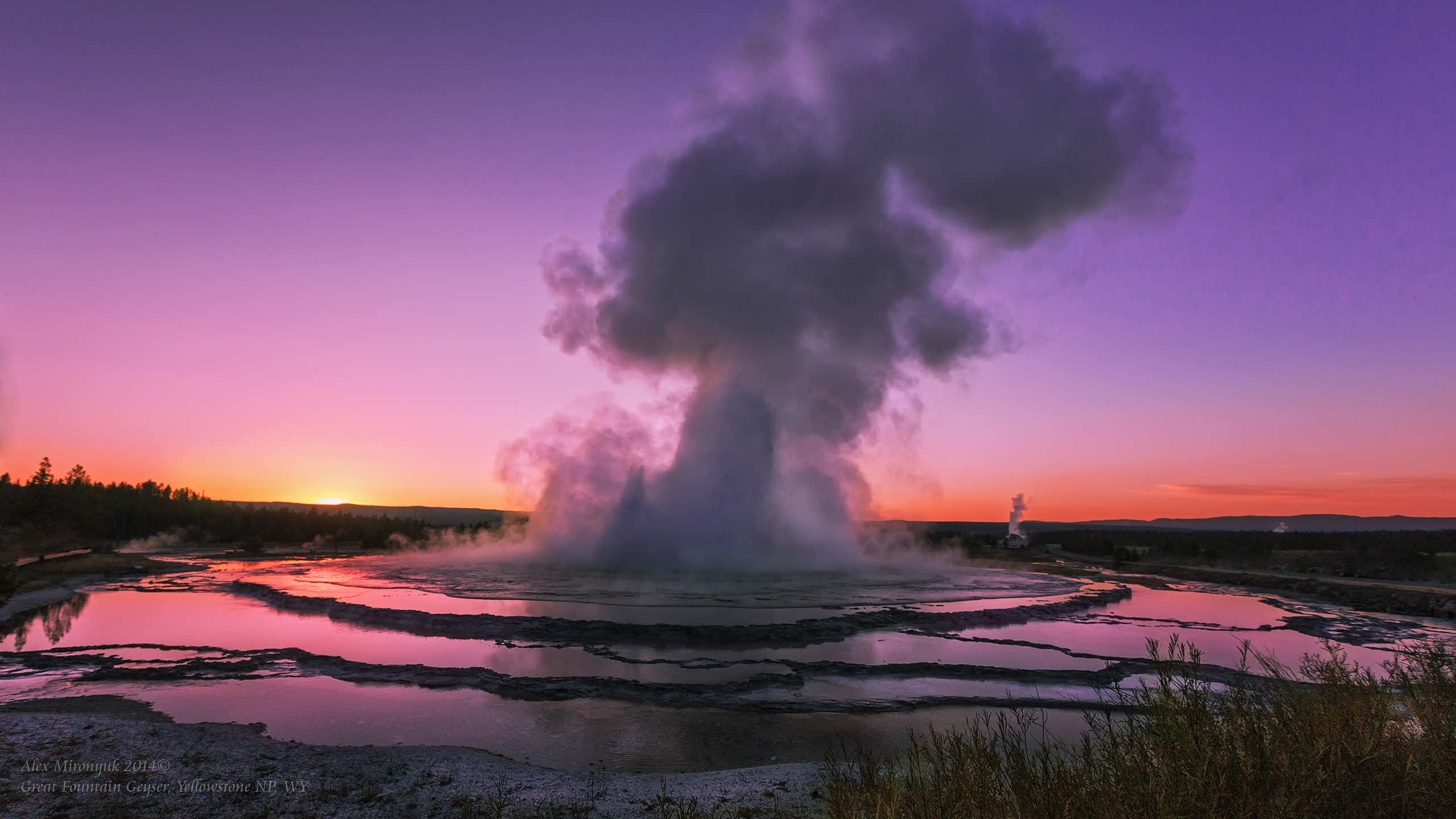Yellowstone National Park. Alex Mironyuk Photography