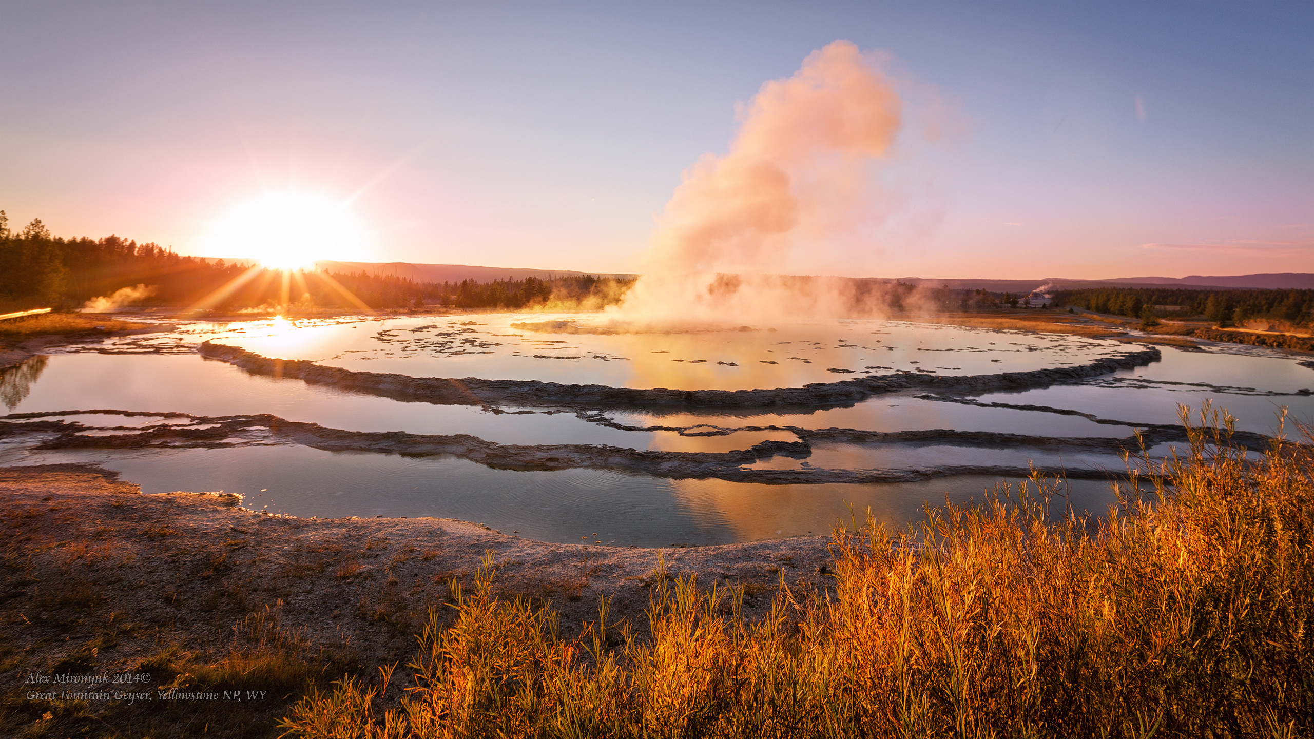 Yellowstone National Park. Alex Mironyuk Photography