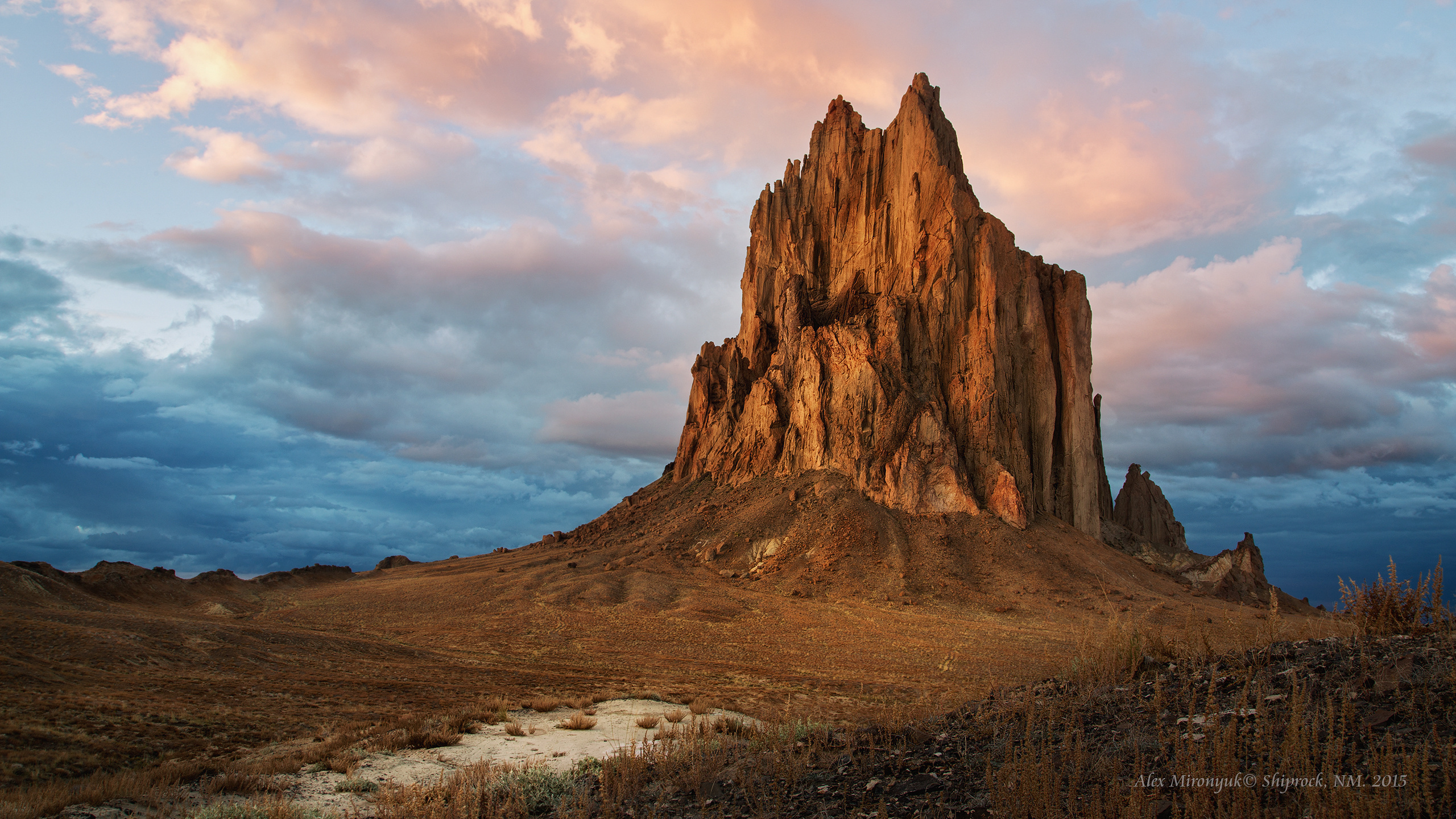 New Mexico Deserts. Pet, Senior, Landscape, portrait studio, photographer in Miami and Sou