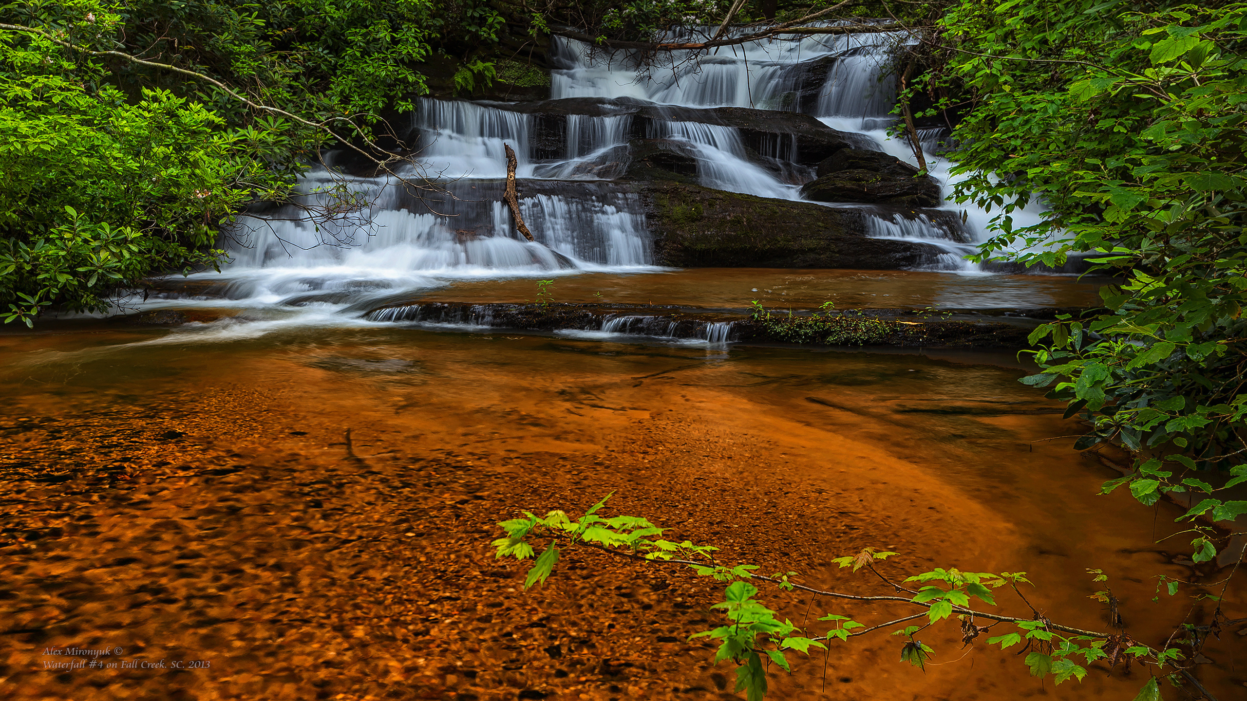 Great Smoky Mountains. Pet, Senior, Landscape, portrait studio, photographer in Miami and Sou