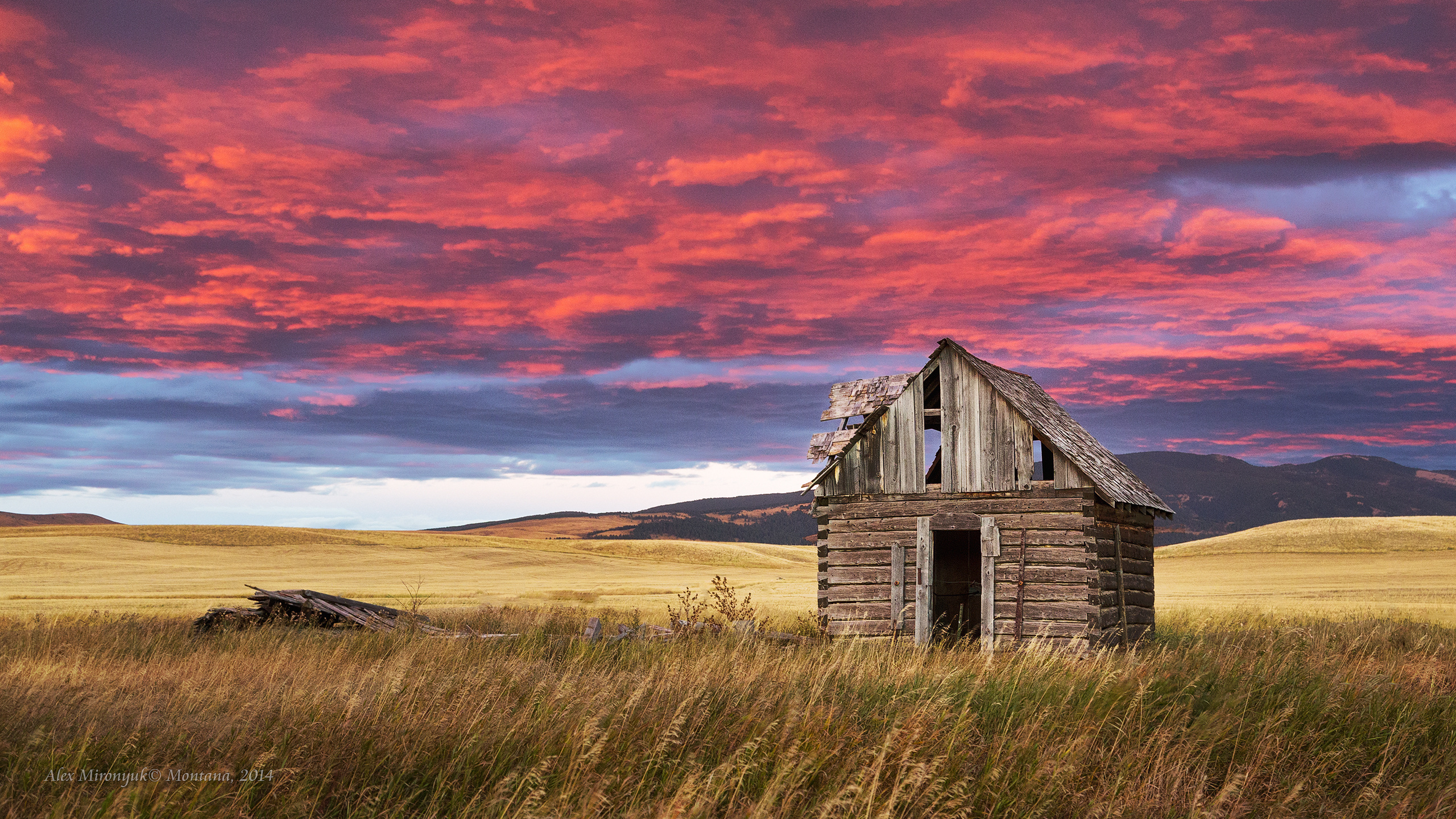 Glacier National Park. Pet, Senior, Landscape, portrait studio, photographer in Miami and Sou