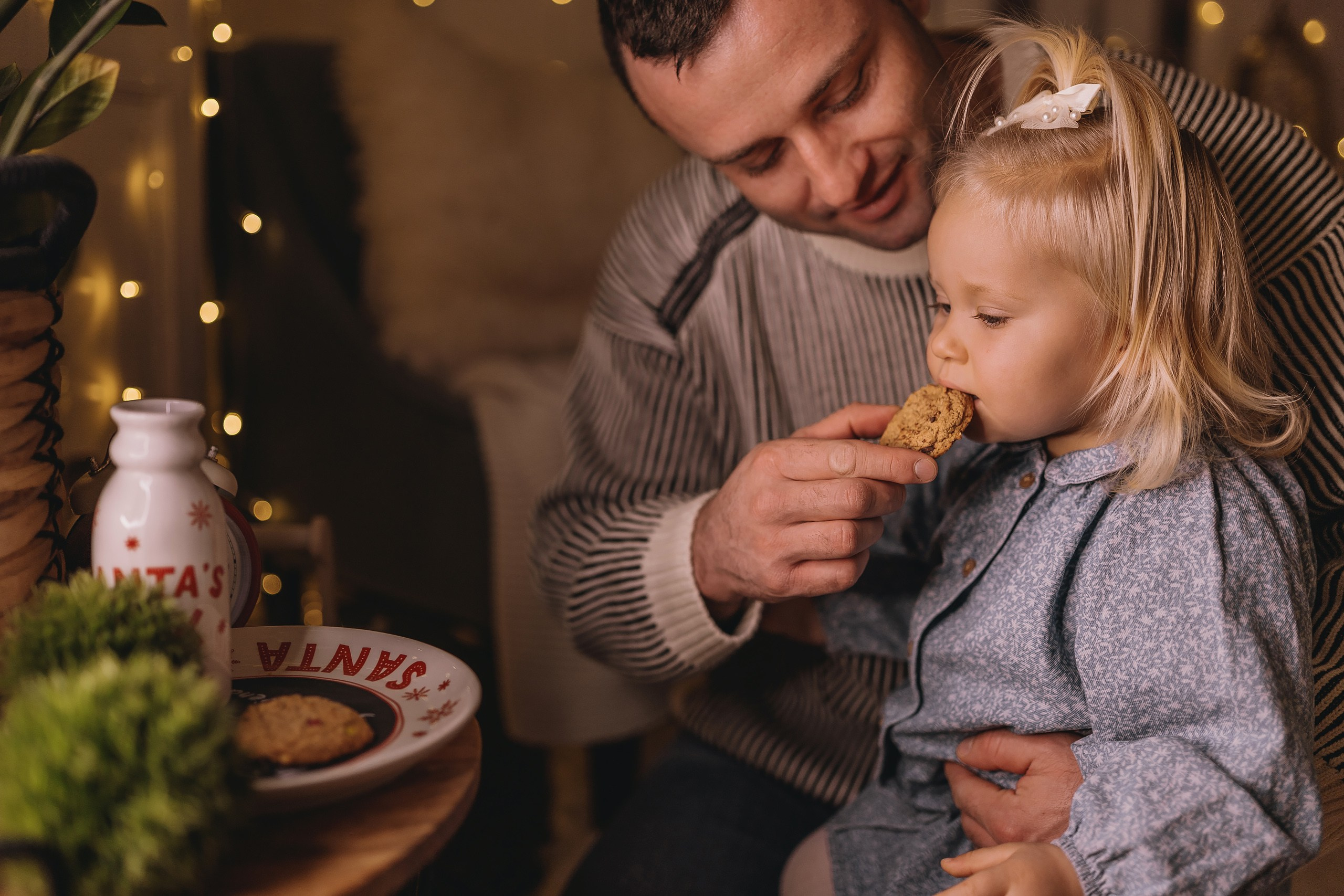 12.08.2025 Christmas Photoshoot. Wedding family event photographer in Chicago Nick Yushevich