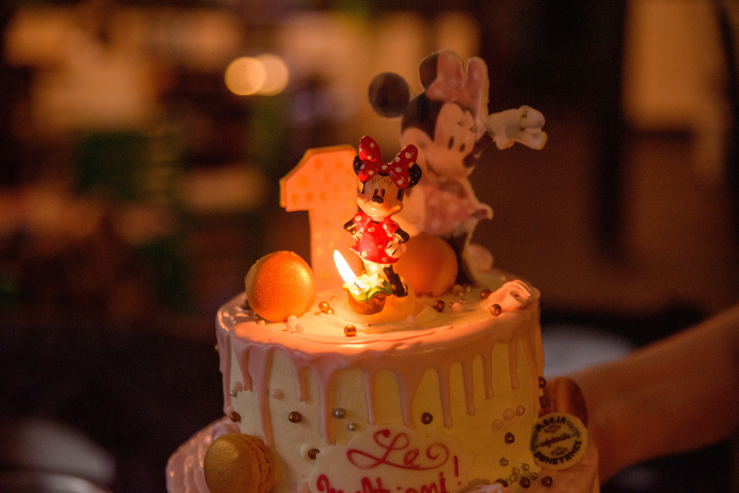 1-year-old children's birthday, birthday photographer, children's birthday parties, private party photographer