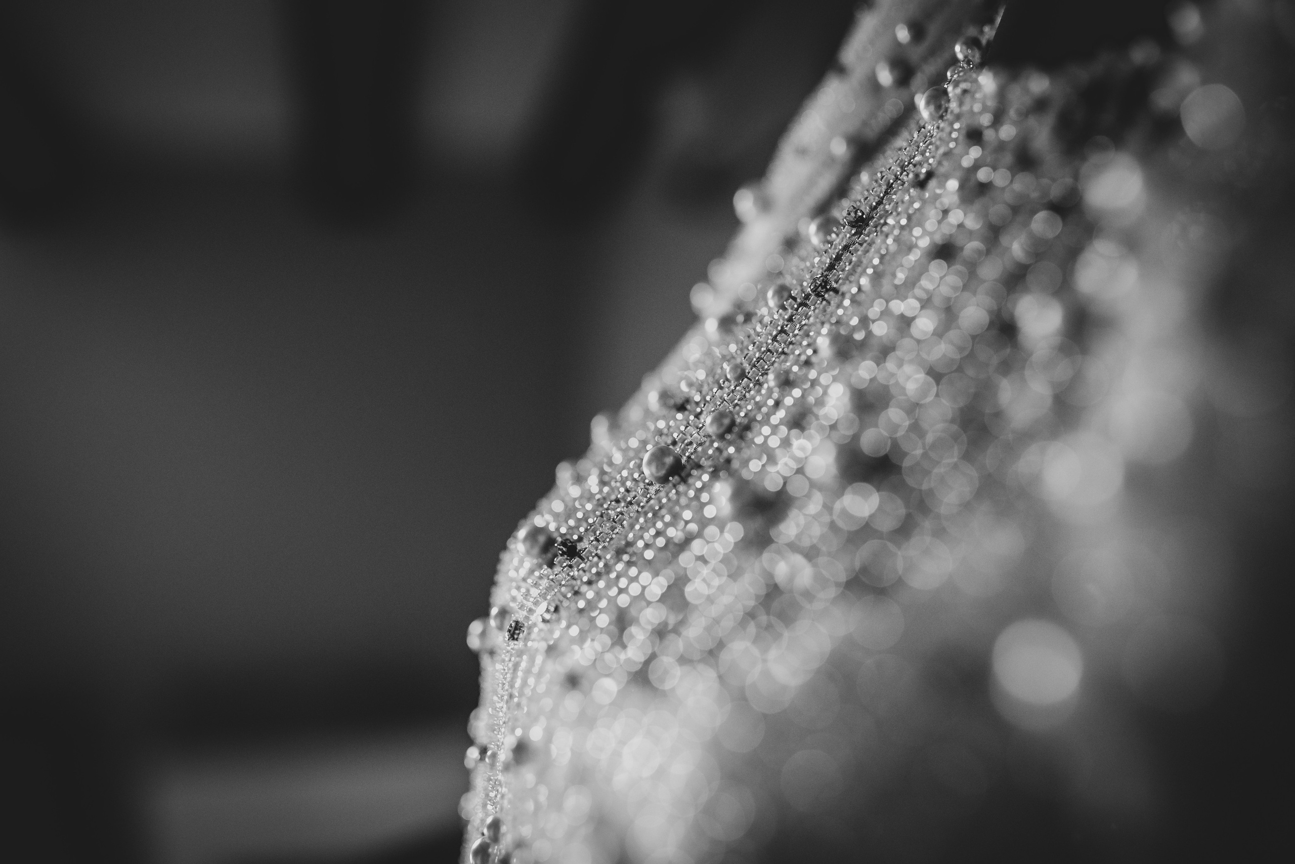 Nuntă. Fotograf de eveniment din Buzău | Bogdan