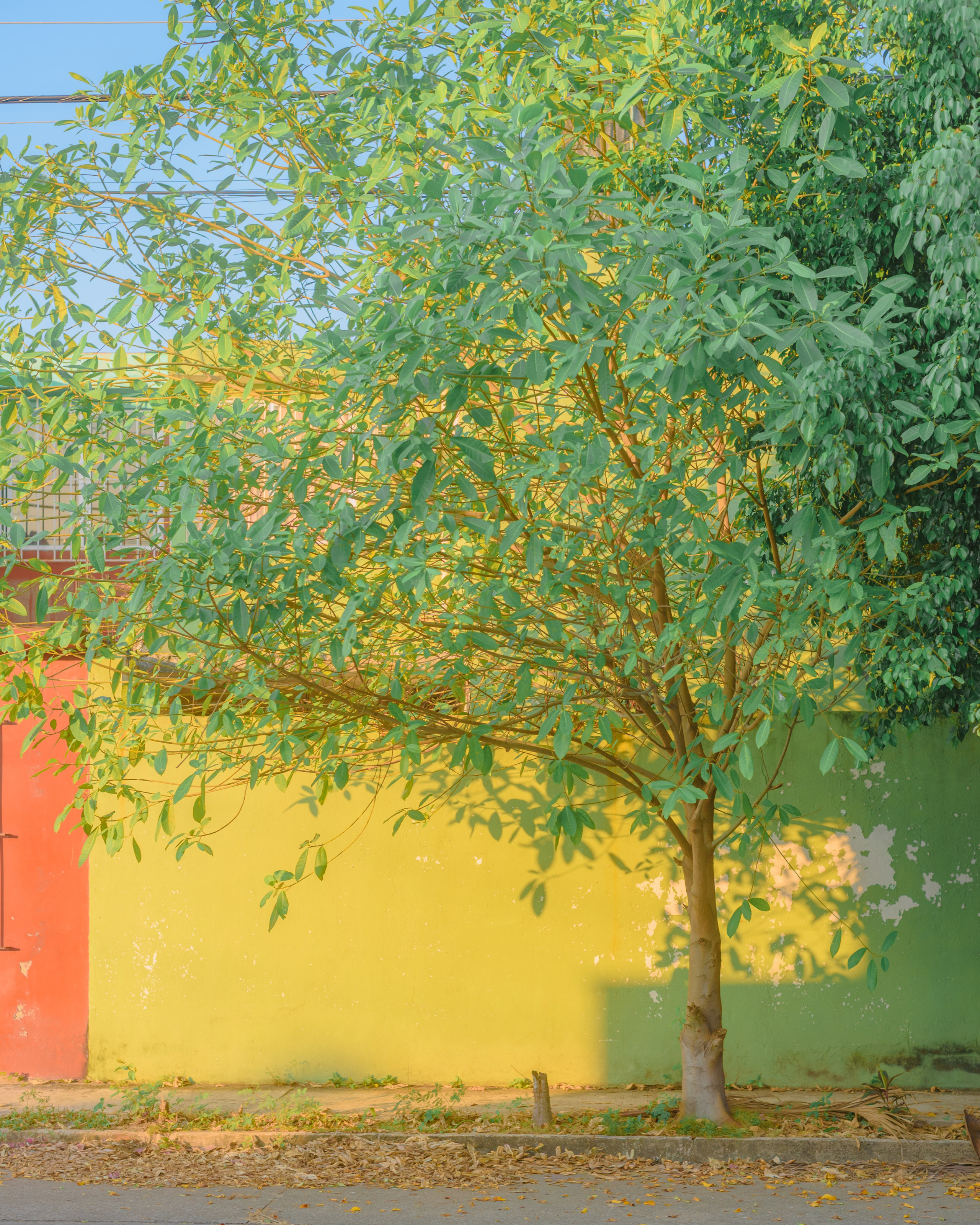 Fotografía documental de bodas en Villahermosa por Eduardo R Alpuche eralpuche fotógrafo de eventos sociales y momentos honestos y fotografía documental de paisaje en el sureste de México por eralpuche Eduardo R Alpuche fotógrafo profesional en Villahermosa.