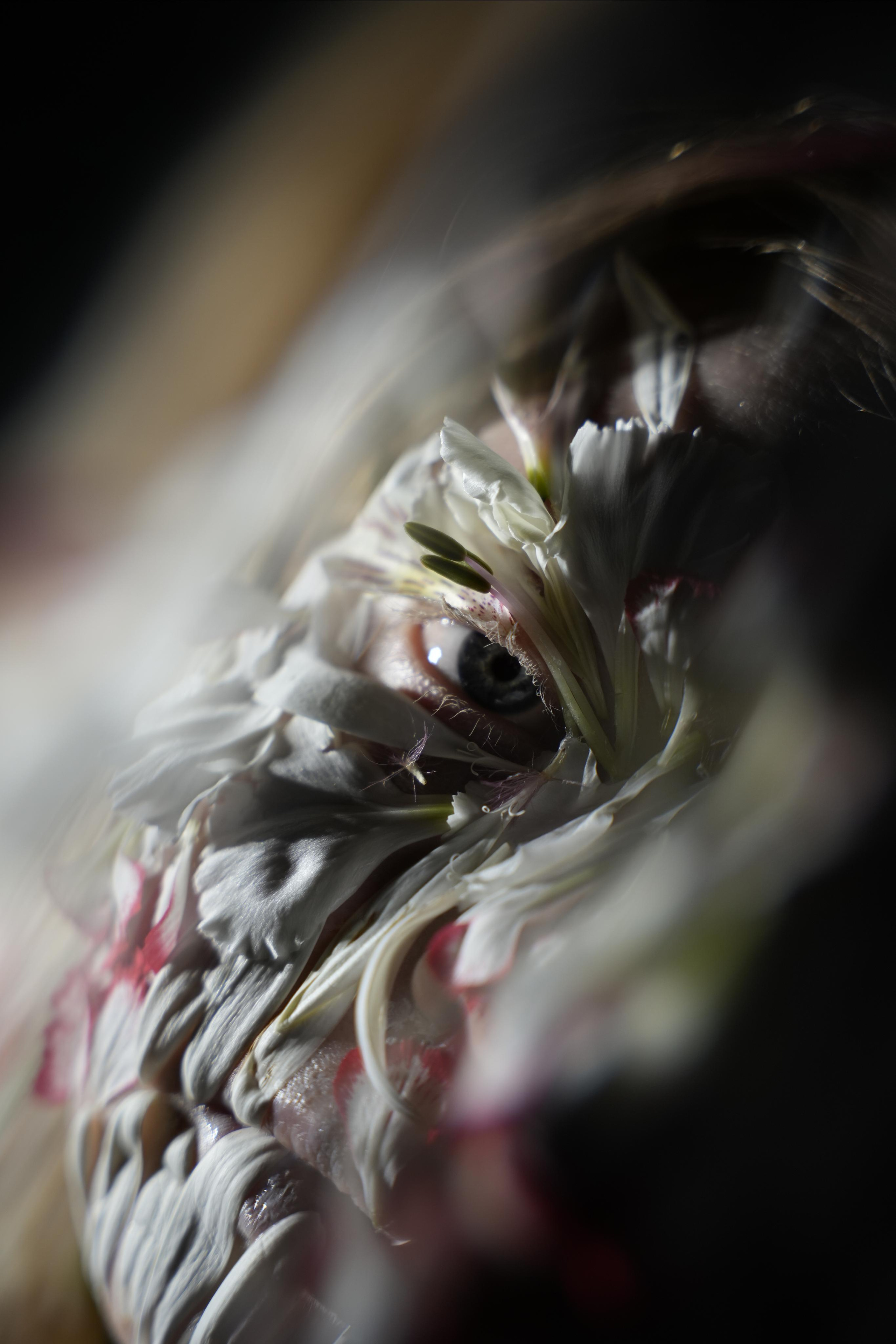 FLOWER CREATURE. Anna Omni — concept photographer and digital artist in Riga, Latvia