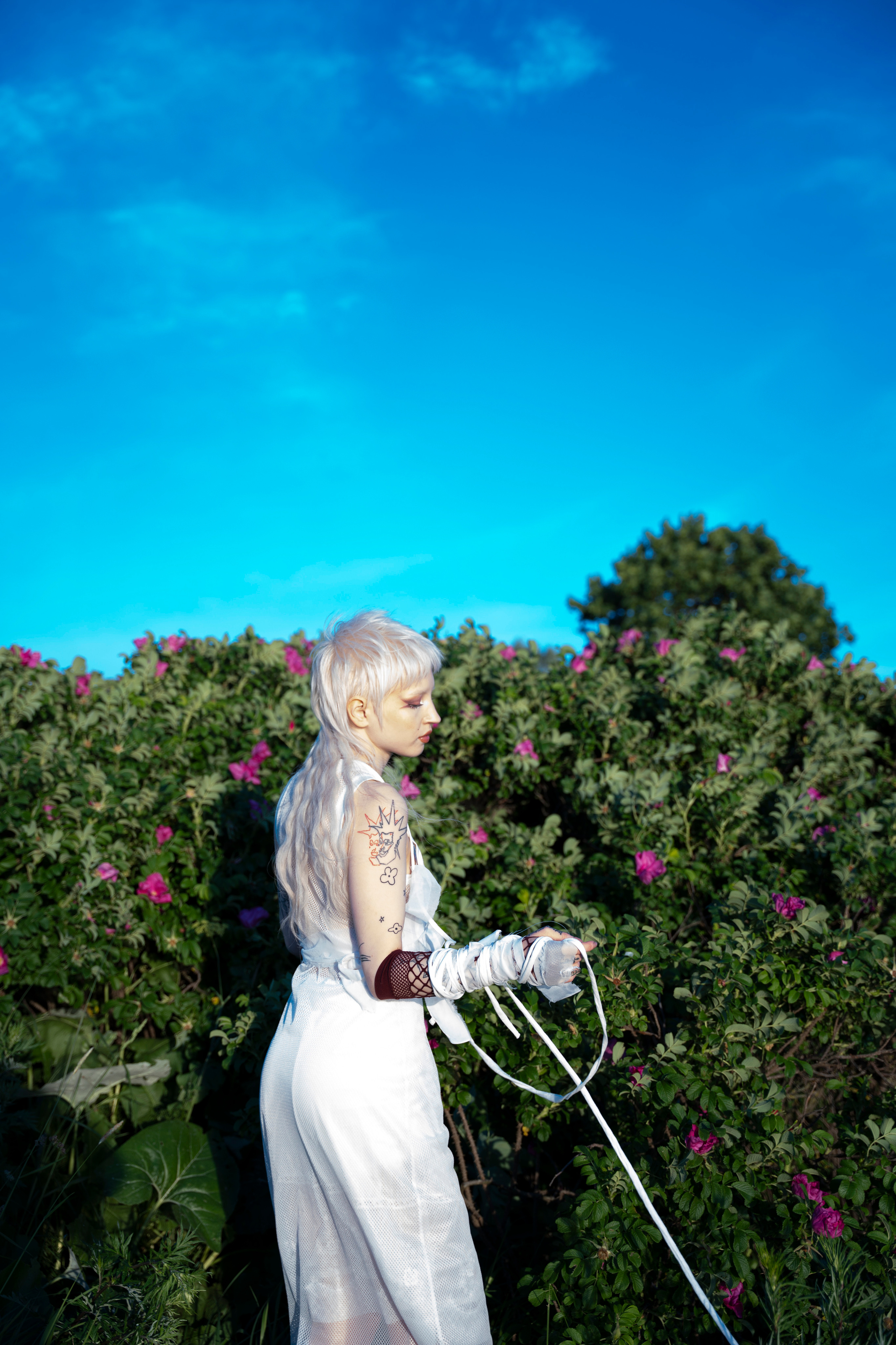 KATE. Anna Omni — concept photographer and digital artist in Riga, Latvia