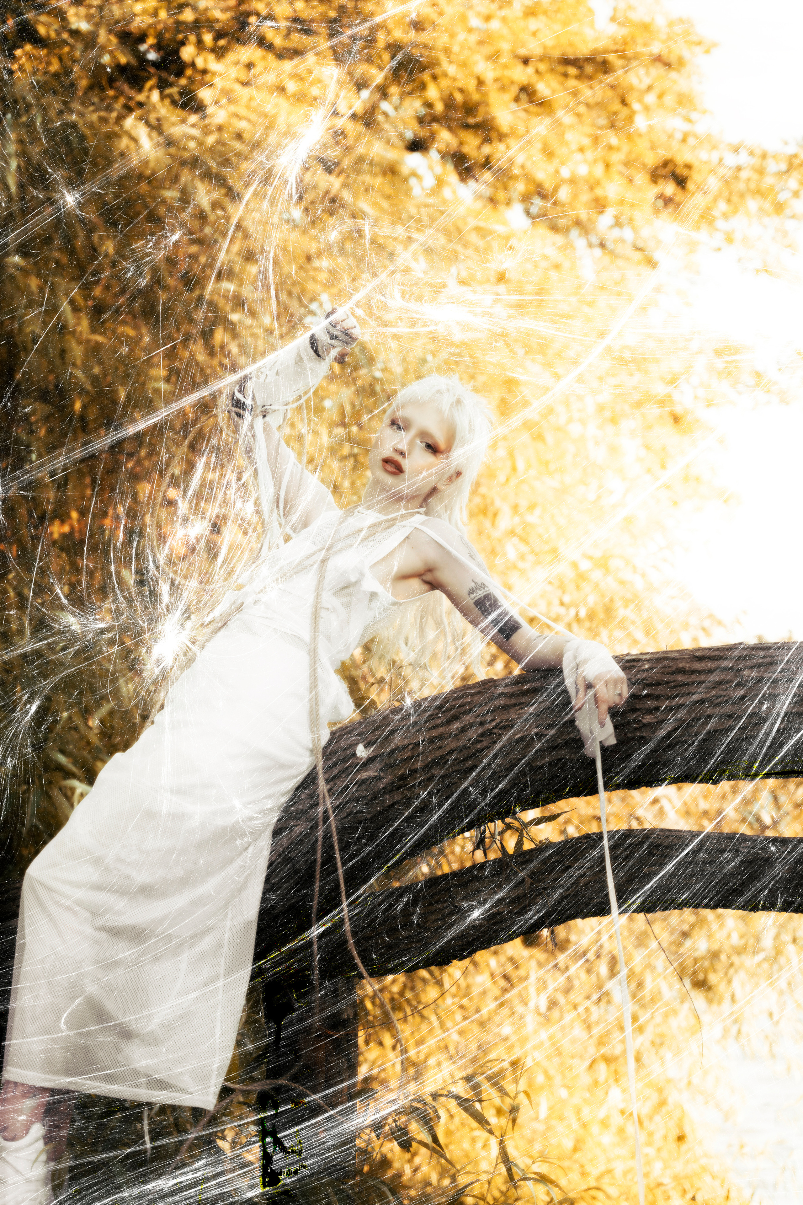 KATE. Anna Omni — concept photographer and digital artist in Riga, Latvia