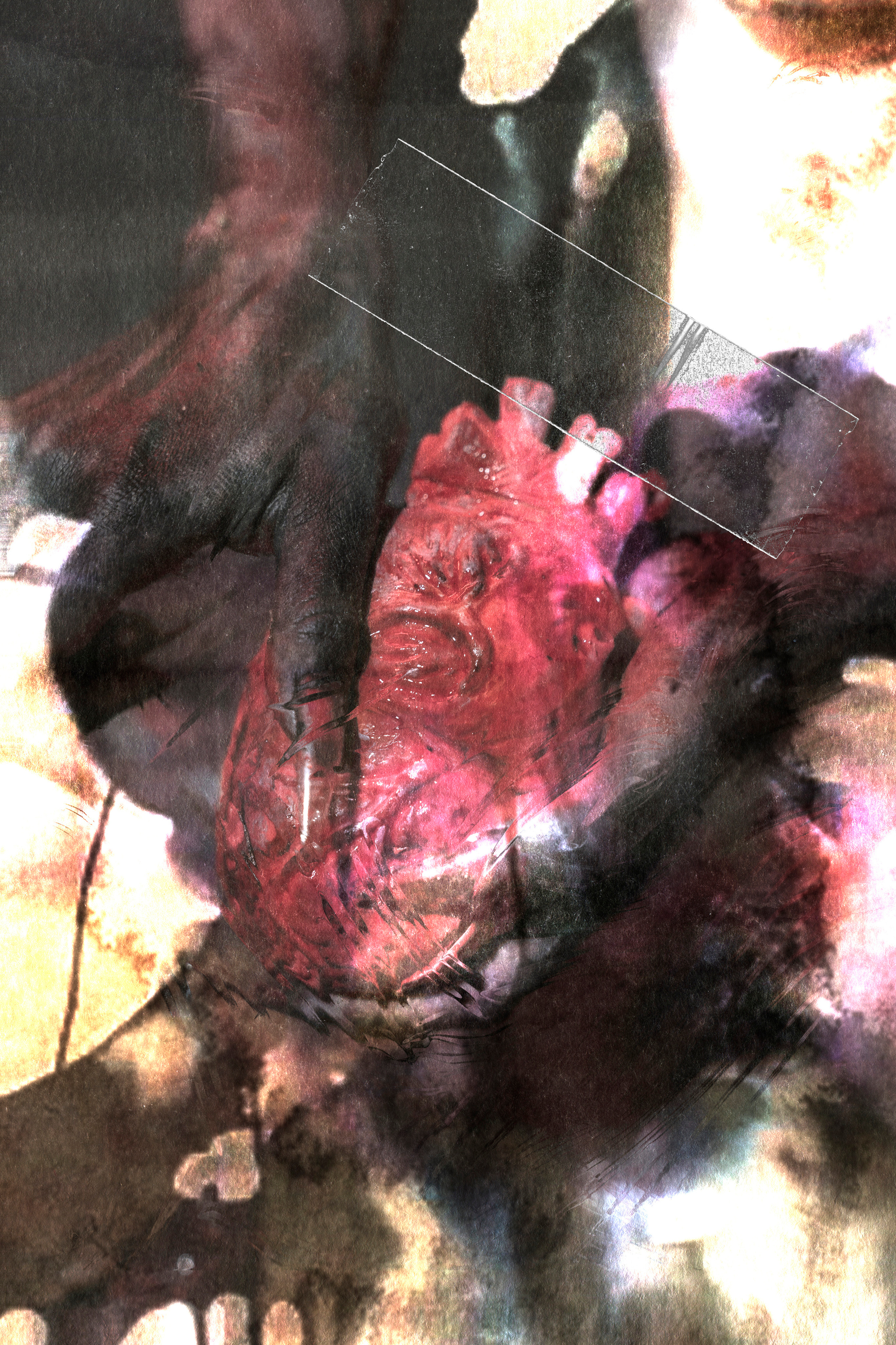 MIXED MEDIA EDITS. Anna Omni — concept photographer and digital artist in Riga, Latvia