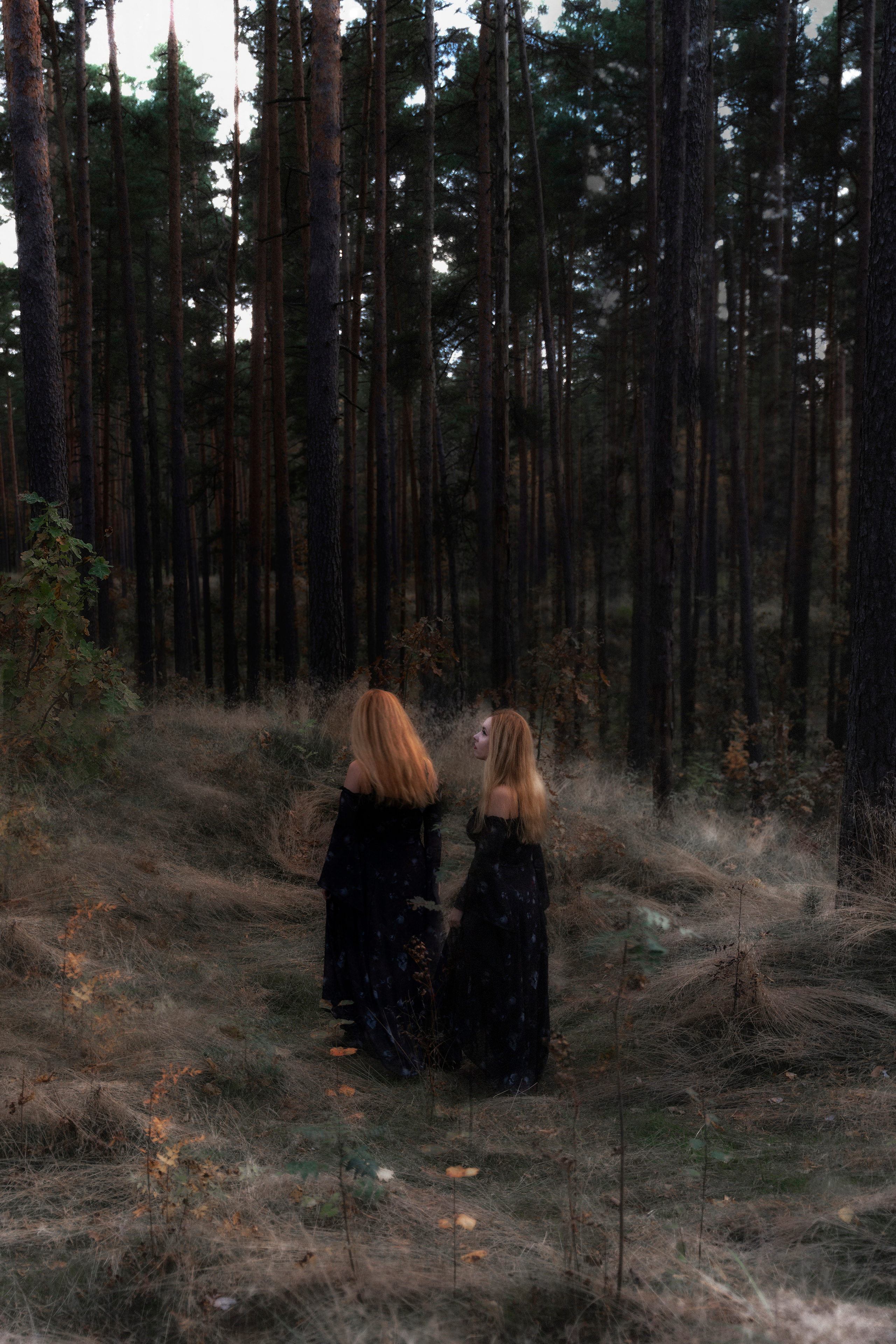 THEME: WITCHY/MYSTIC. Anna Omni — concept photographer and digital artist in Riga, Latvia