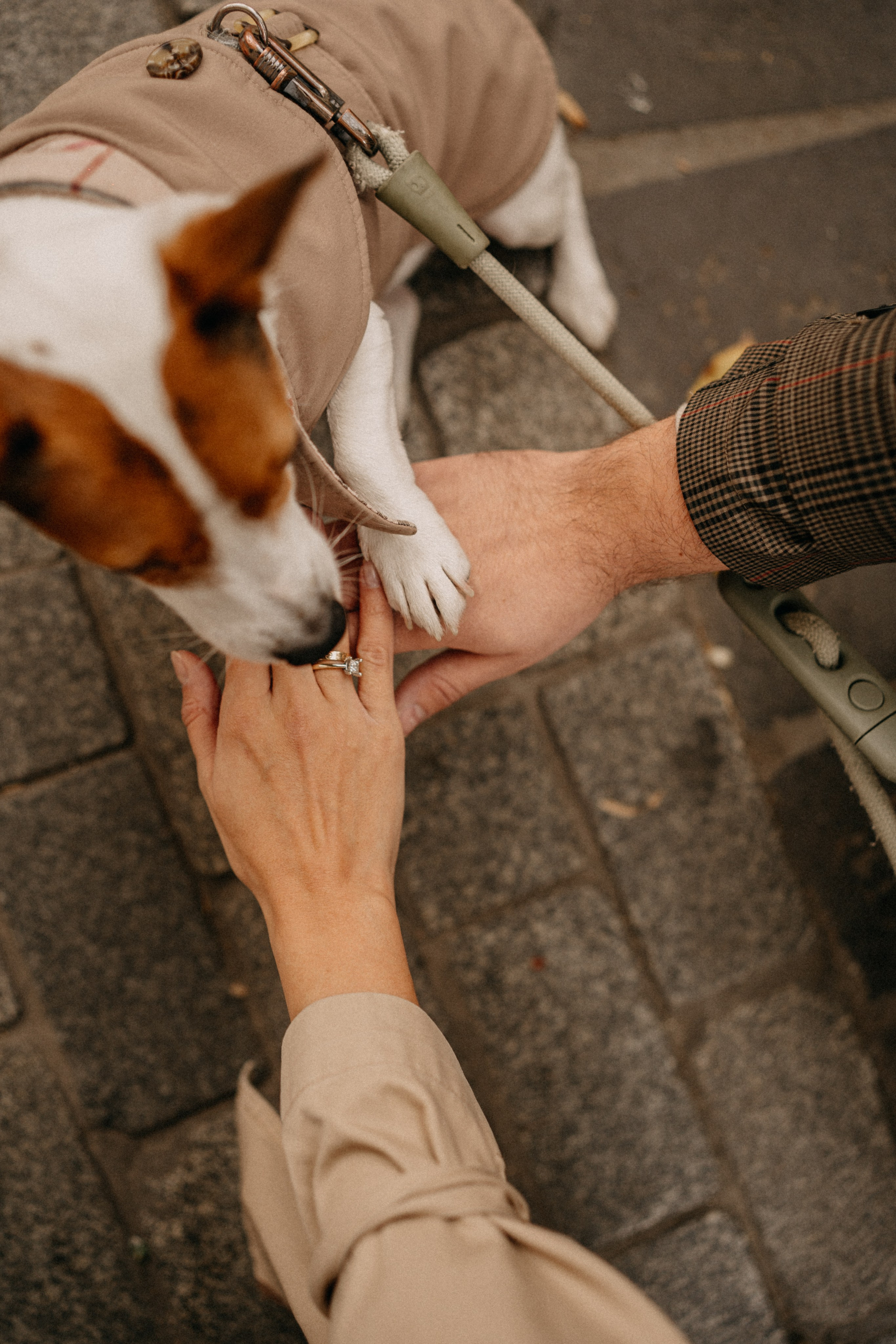 Зу & Саша. Фотограф Москва Ларина Юлия