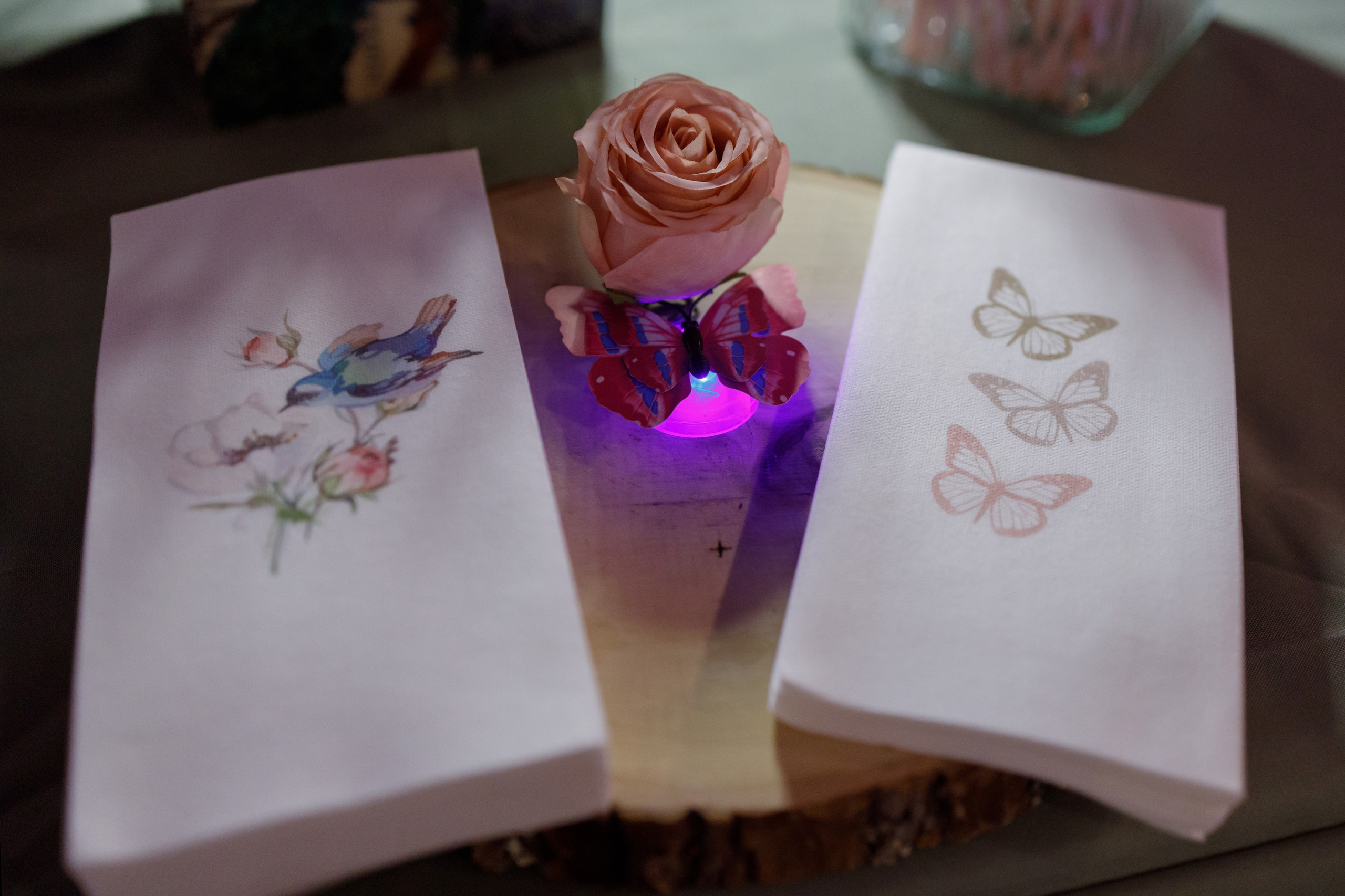 Evening event. Family and Event photographer in Bay Area Elena Tiuriumina