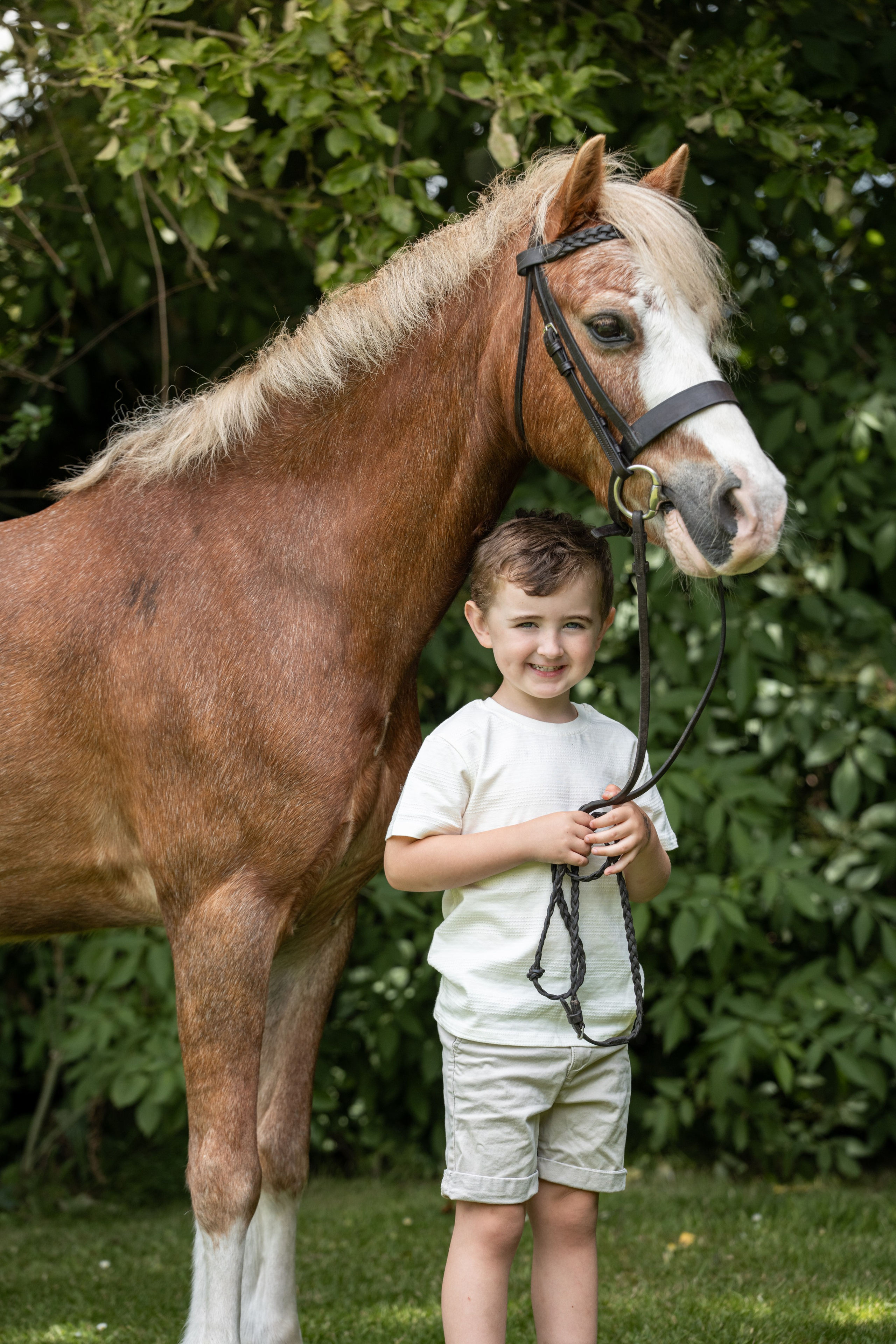 Equine Photography Portfolio | Leicestershire Horse Portrait Photographer. Leicestershire Equine Photography by El | Authentic Equine Portraits & Events
