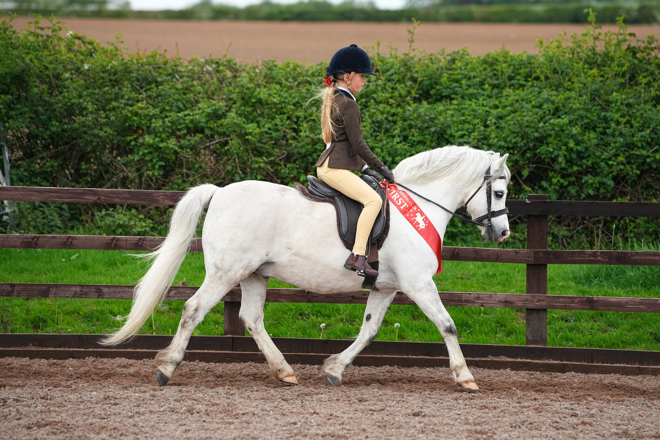 Showing. Leicestershire Equine Photography by El | Authentic Equine Portraits & Events
