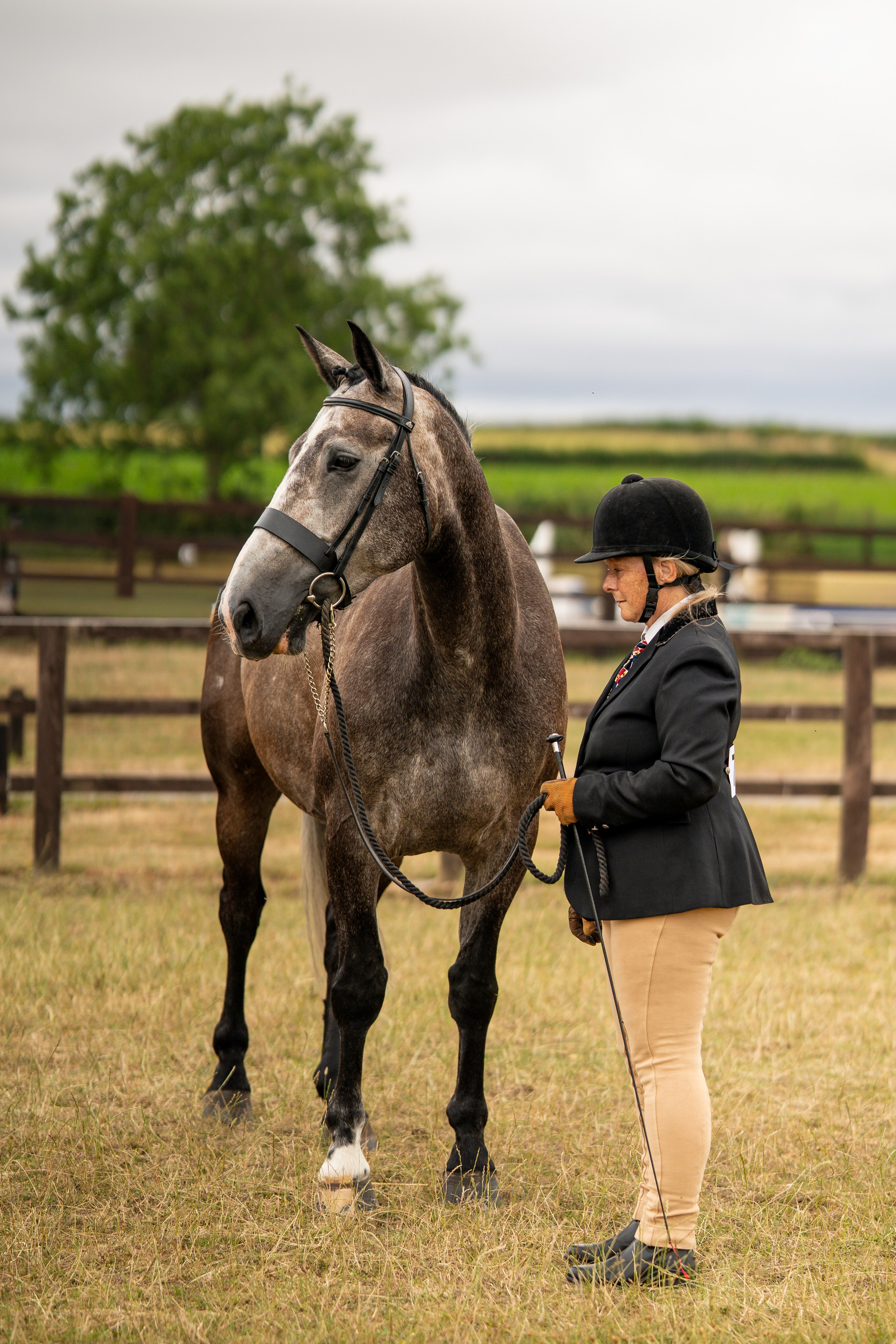 Showing. Leicestershire Equine Photography by El | Authentic Equine Portraits & Events