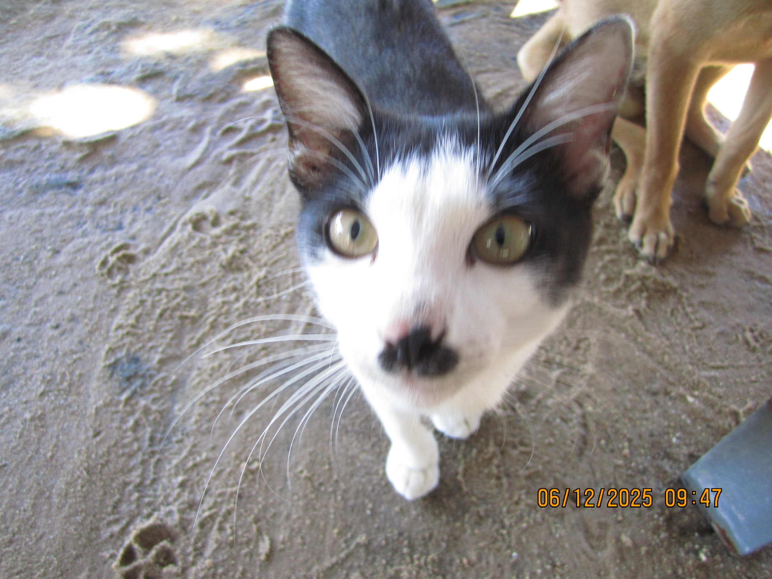 Kaheteistkümnes päev. LondoSpeed Photography